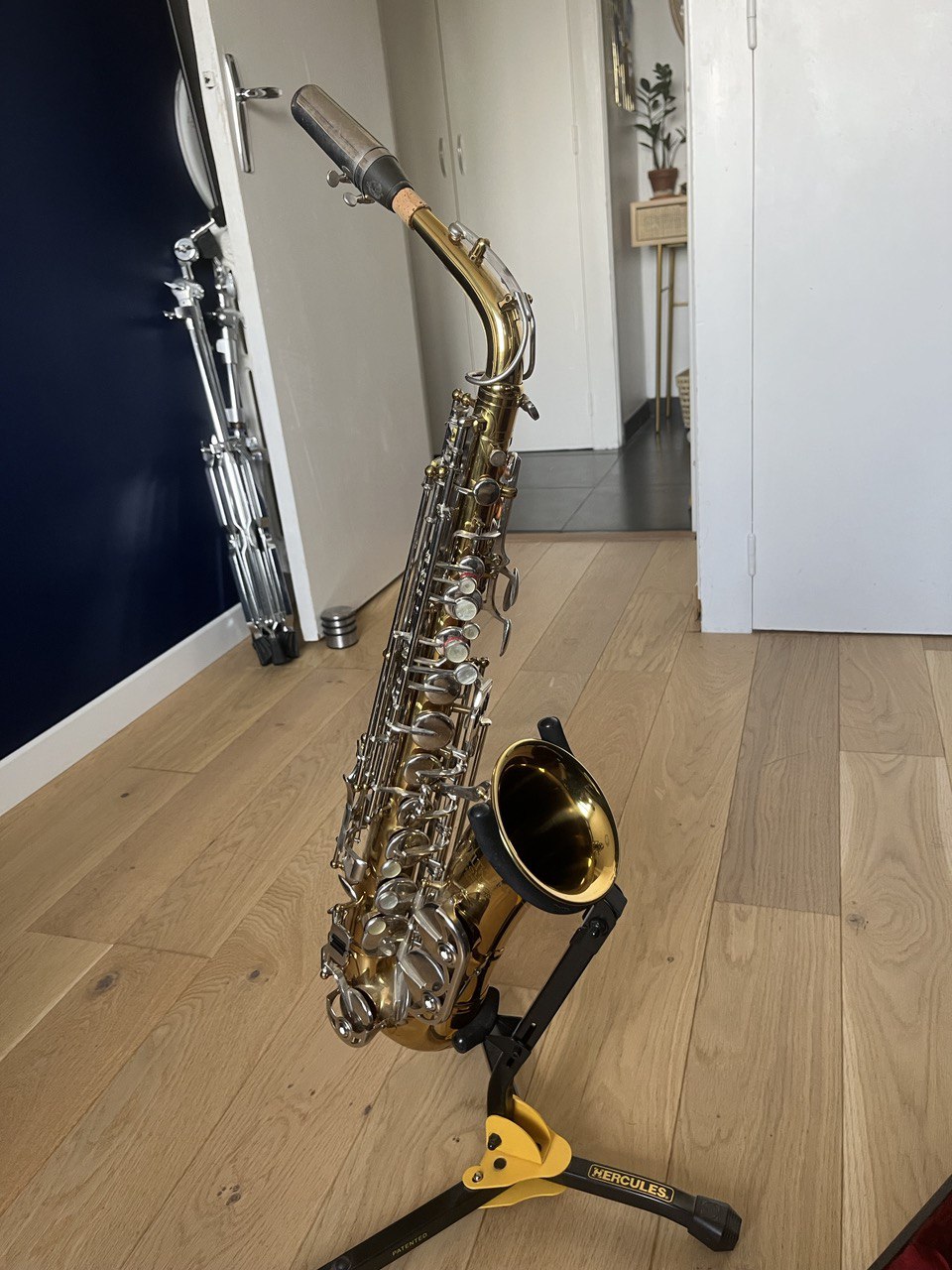 Vend sourdine Saxophone Alto (Ile-de-France) - Audiofanzine