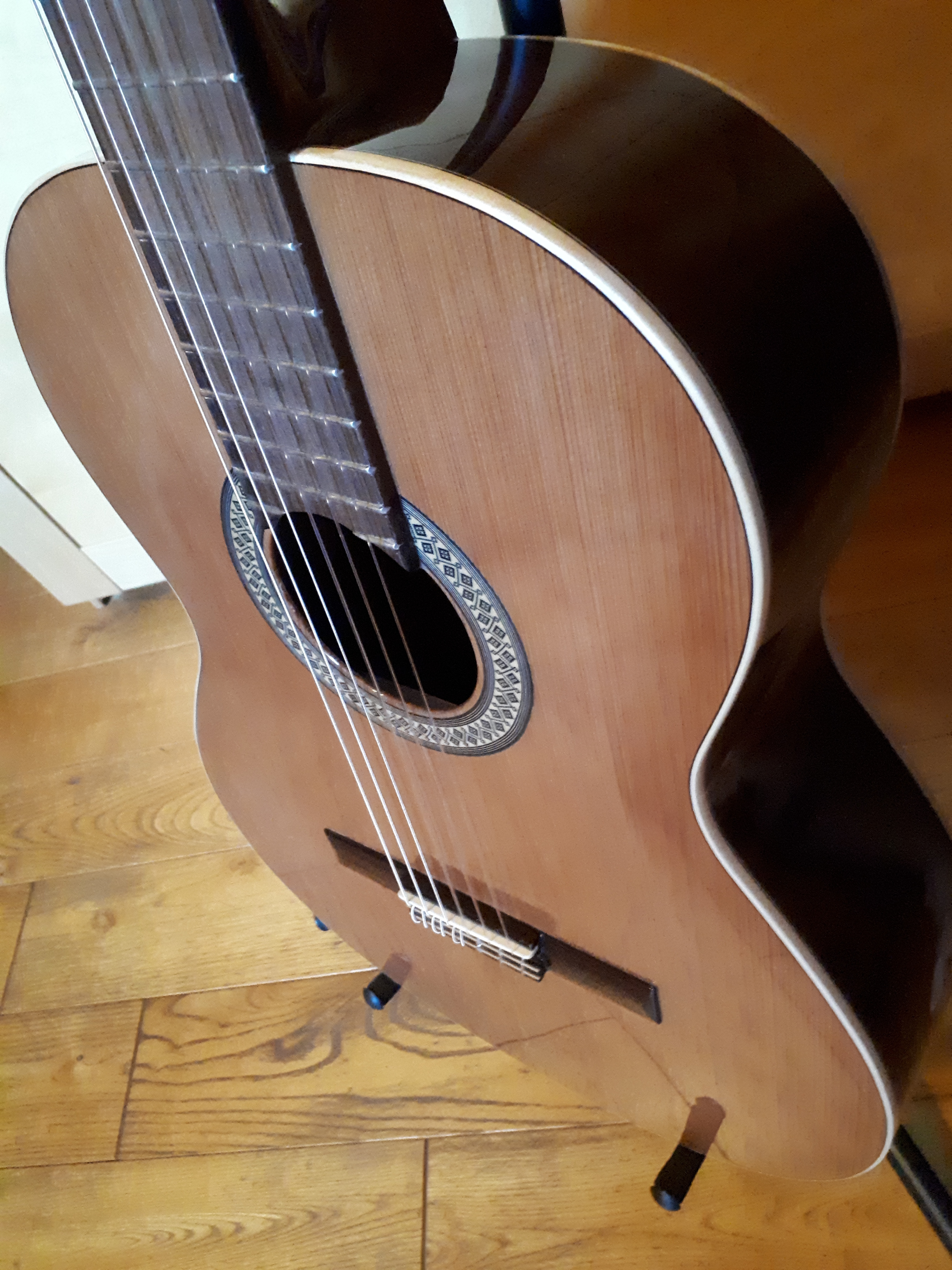 Alhambra Guitars 2C image (1825679) Audiofanzine