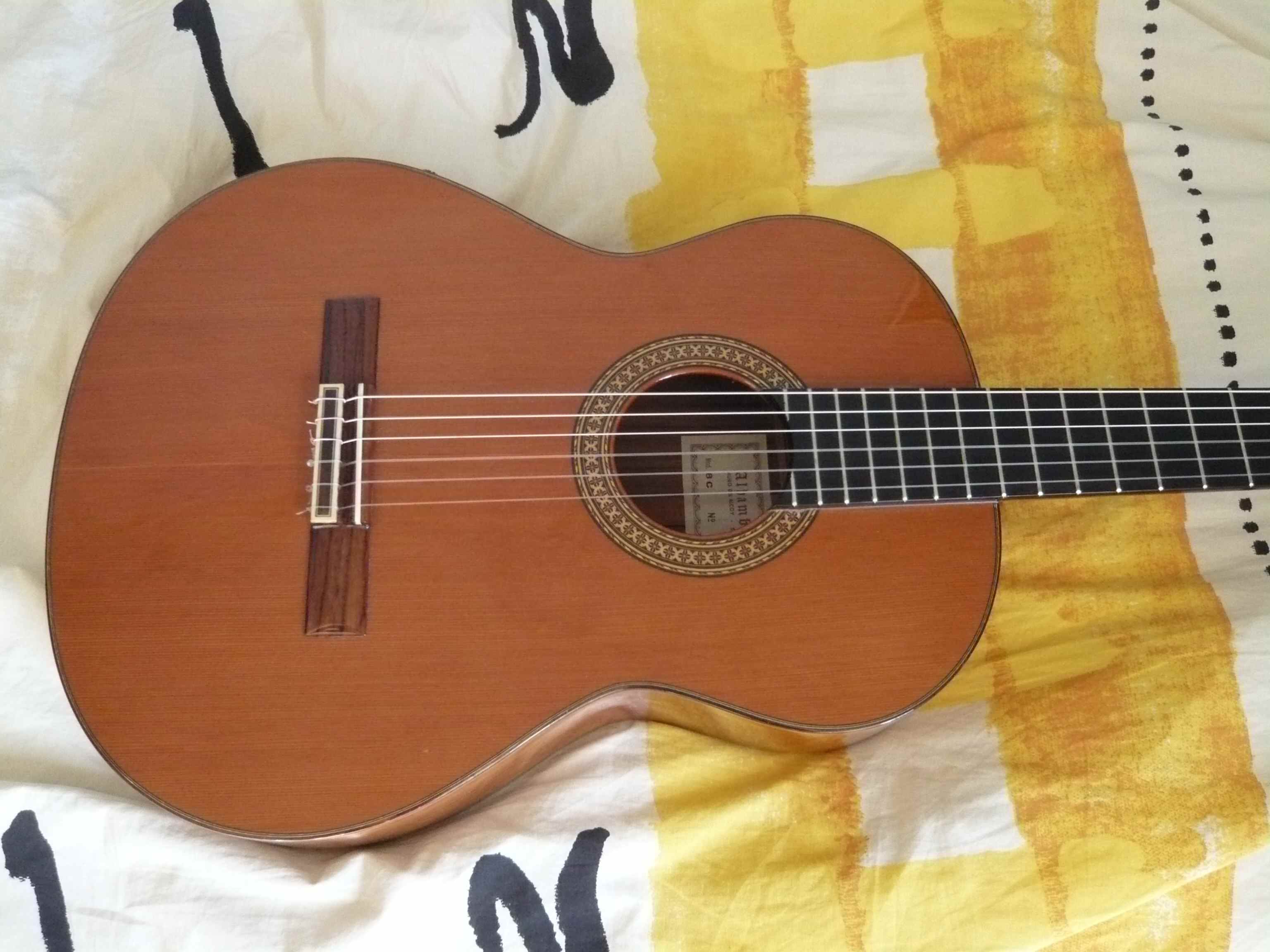 Alhambra Guitars 8P image (373051) Audiofanzine