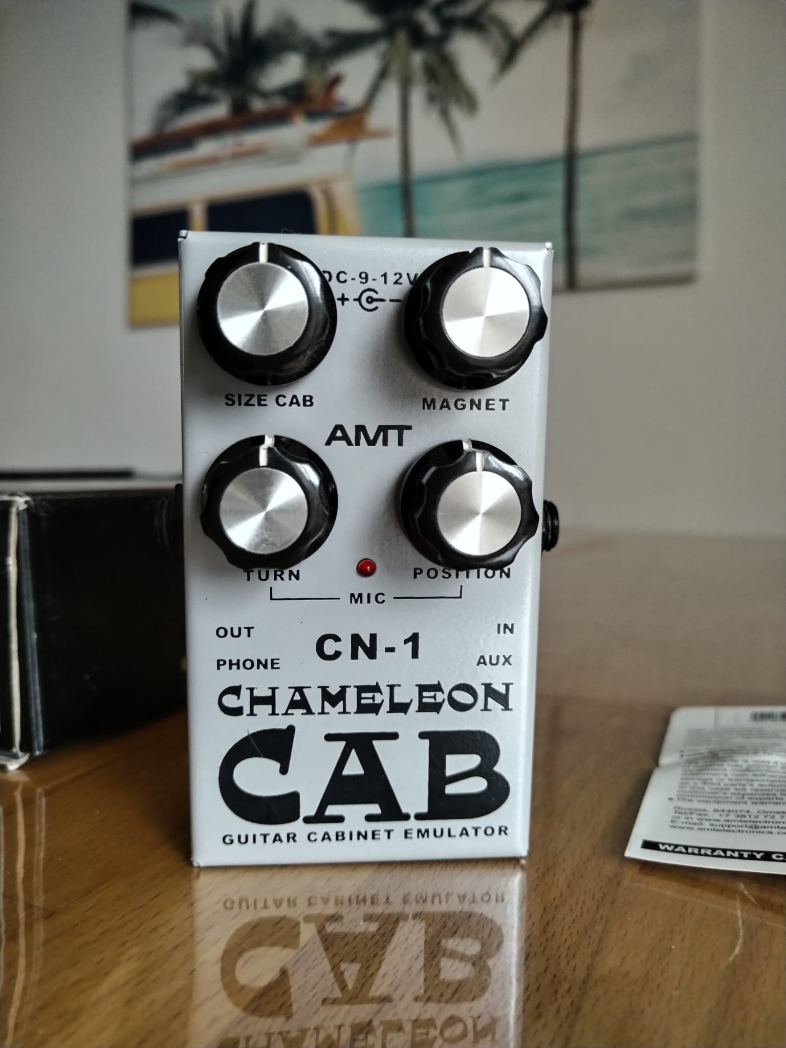 CN-1 Chameleon Cab - Amt Electronics CN-1 Chameleon Cab - Audiofanzine