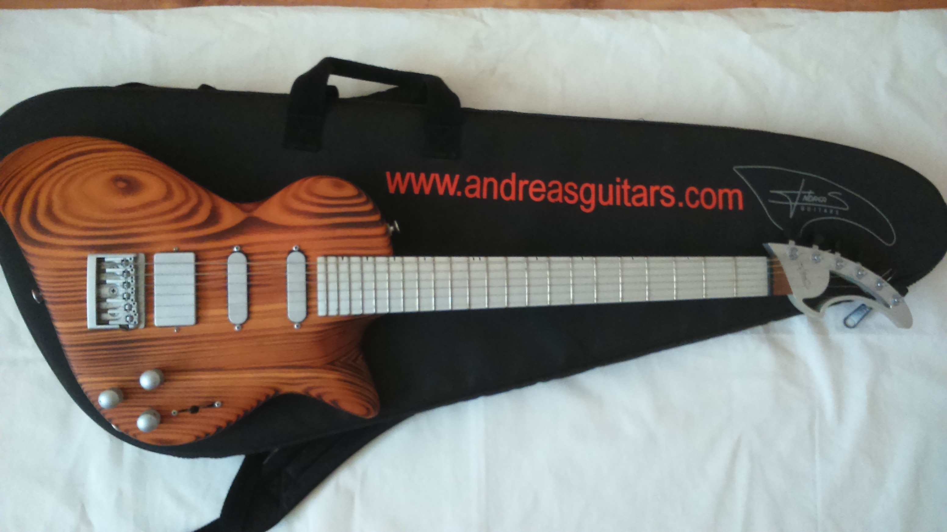 andreas-guitars-shark-1048078.jpg