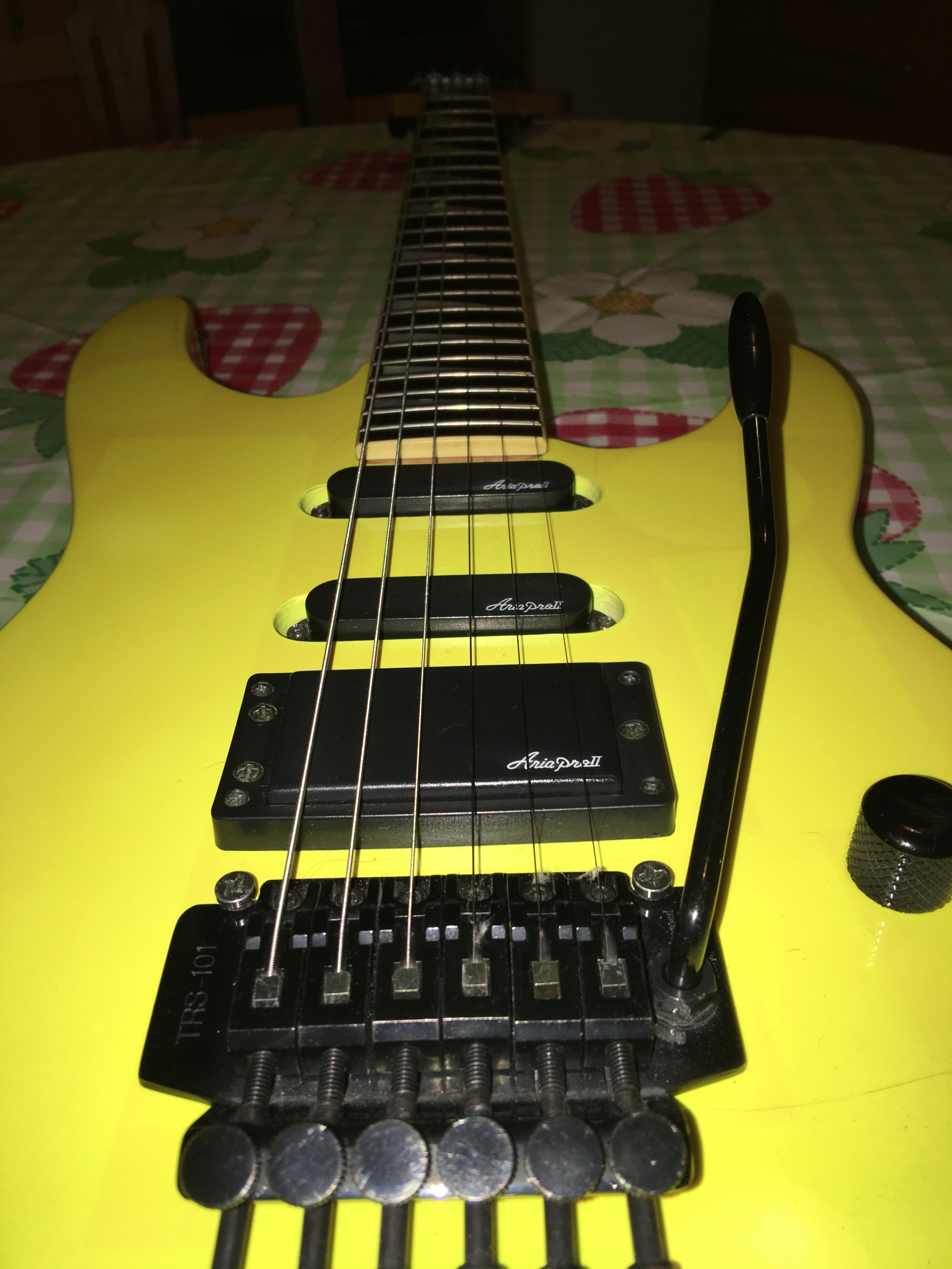 Aria Pro 2 XR Séries (Région Wallonne) Audiofanzine