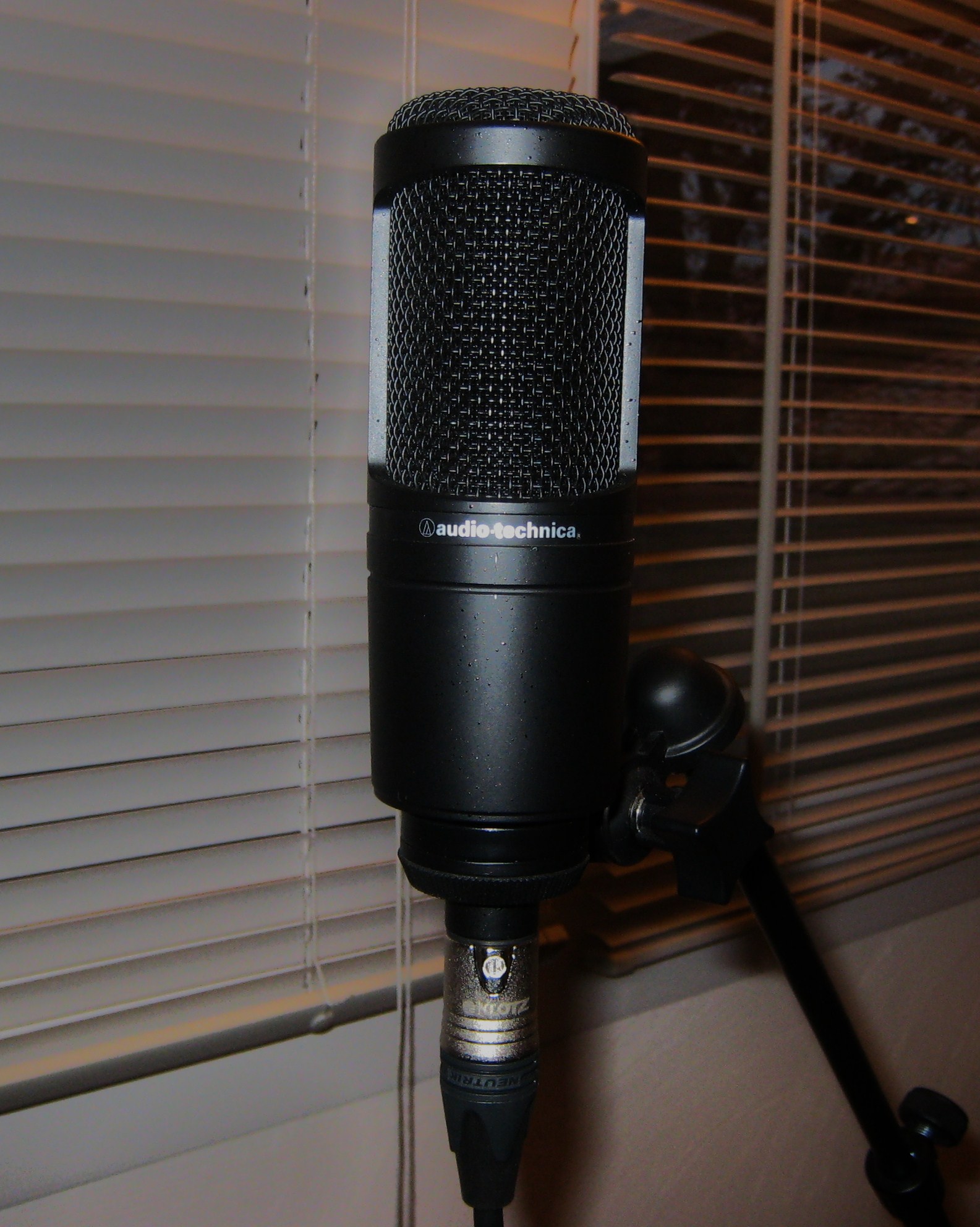 AudioTechnica AT2020 image (298085) Audiofanzine