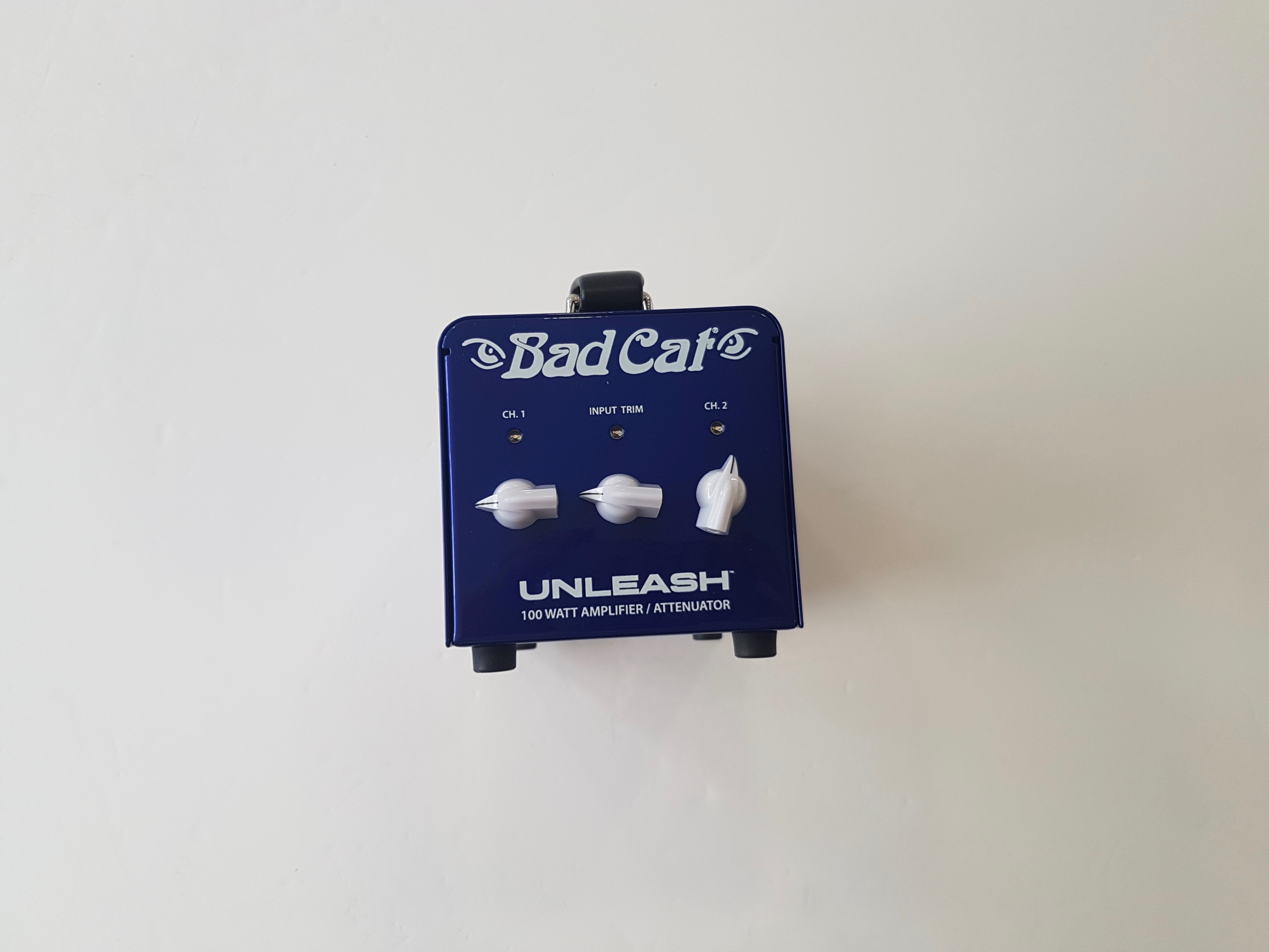 Unleash Bad Cat Unleash Audiofanzine