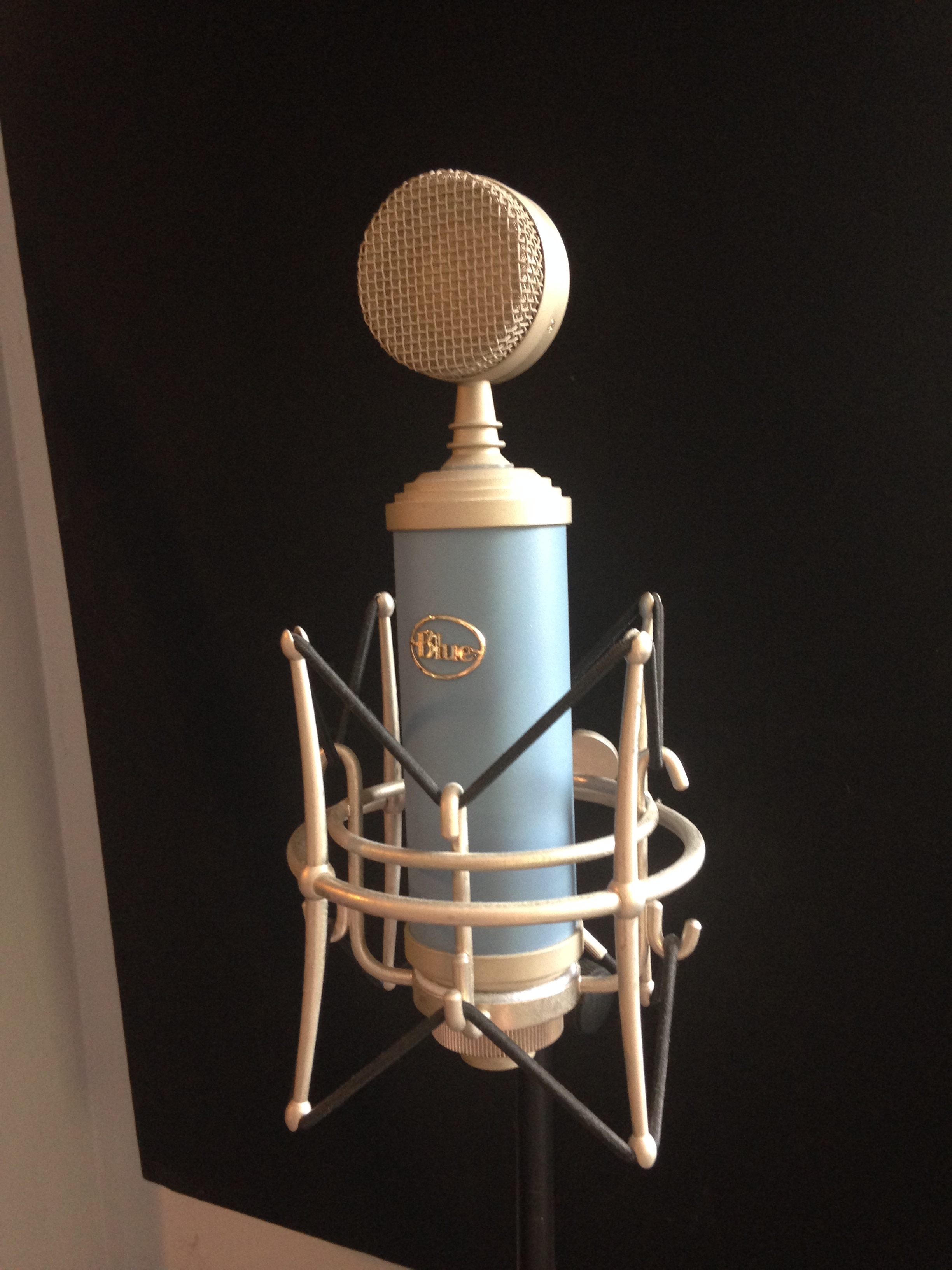 BLUEBIRD Blue Microphones Bluebird Audiofanzine