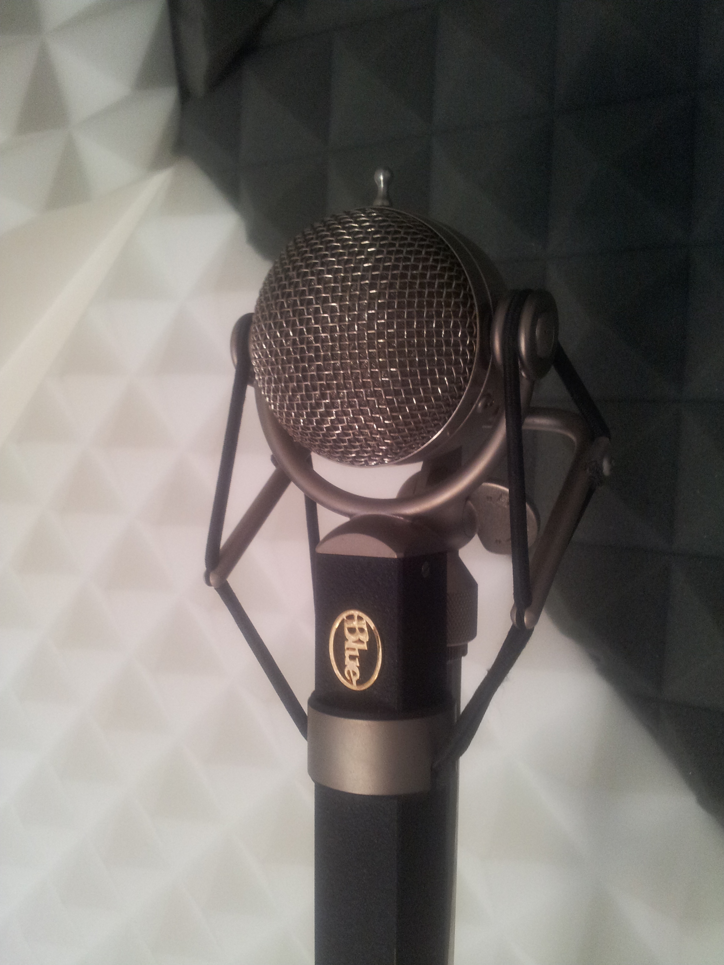 Photo Blue Microphones Dragonfly Blue Microphones Dragonfly (47954
