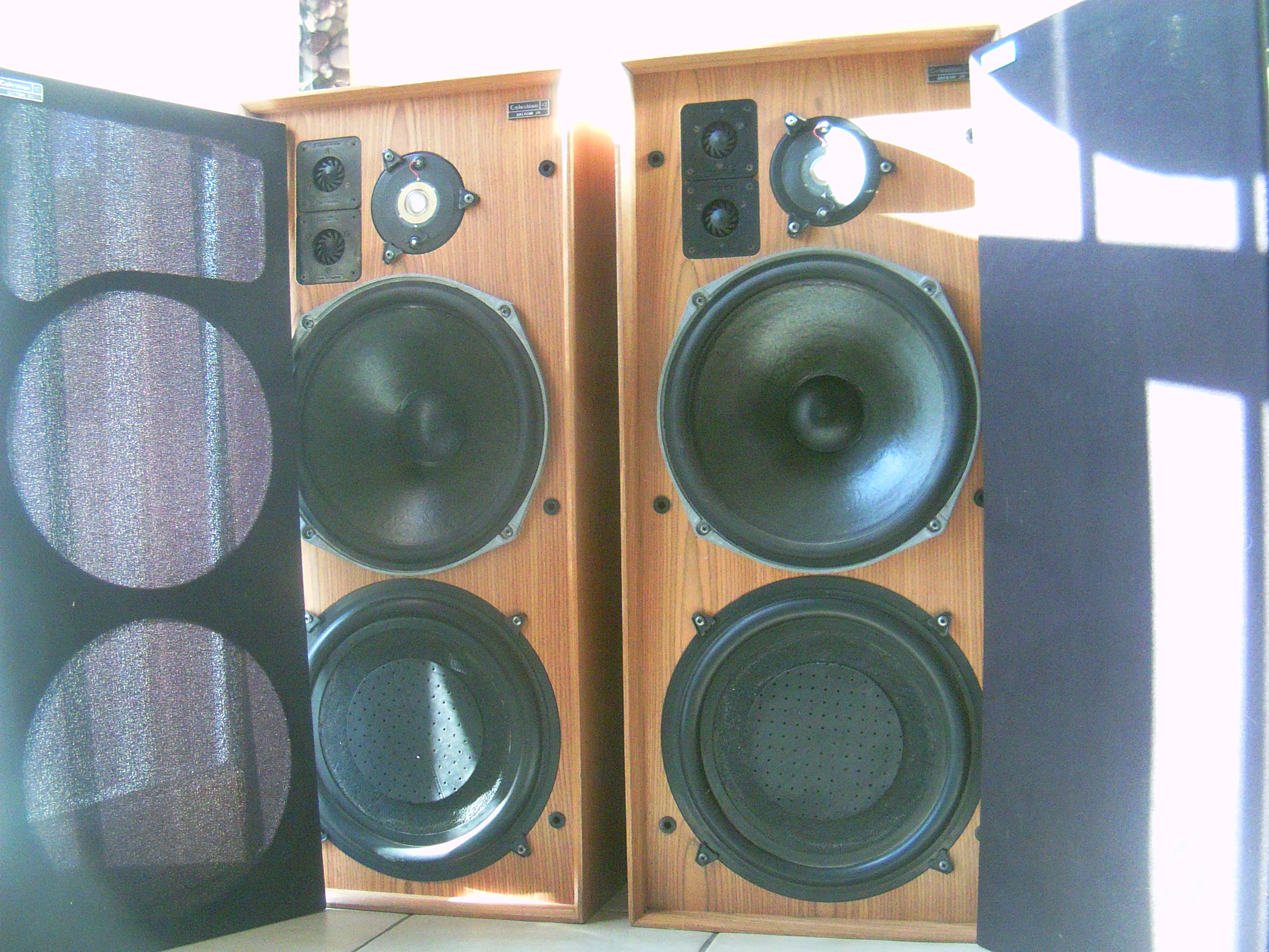 celestion 25 speakers