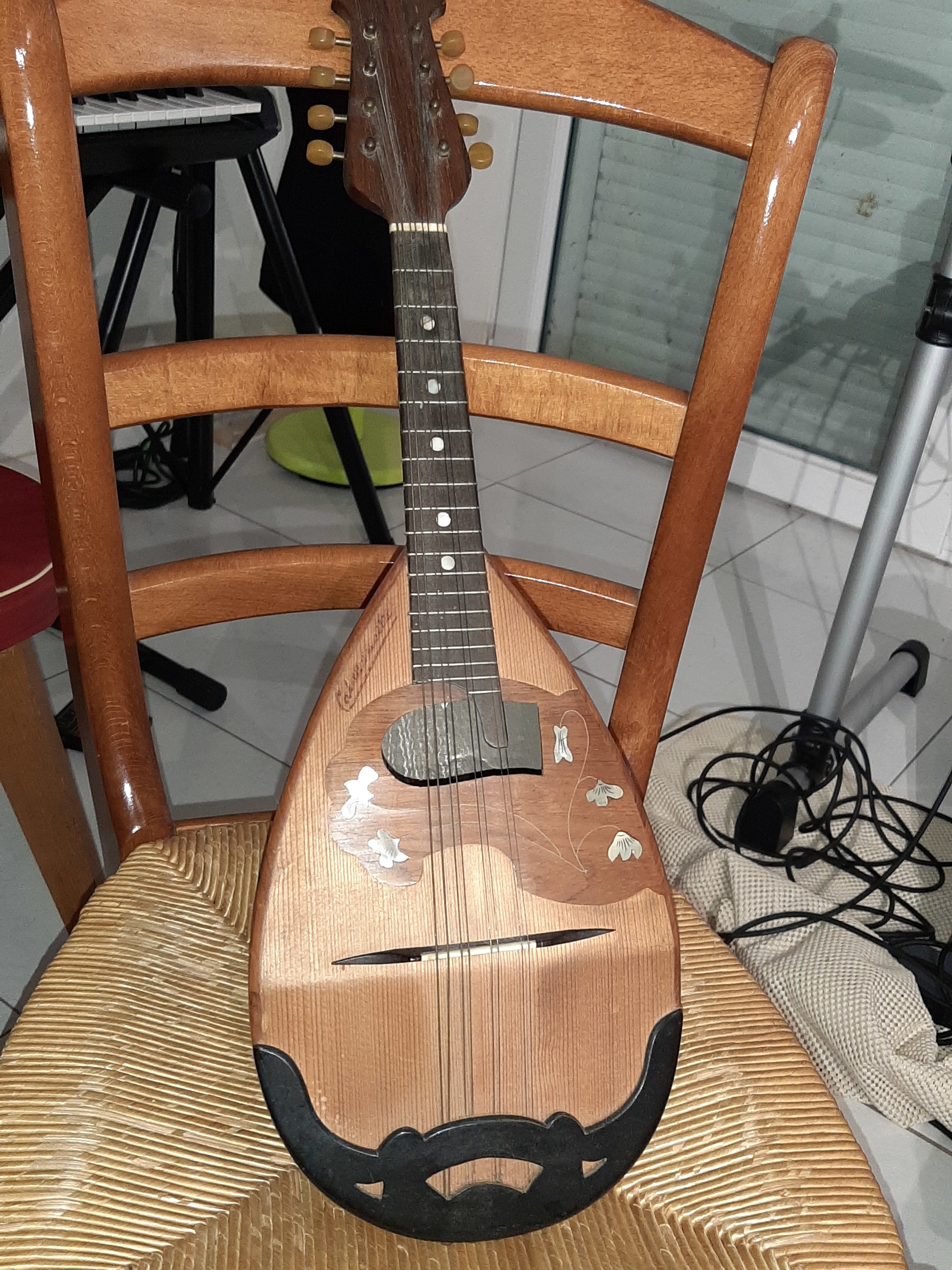 Autoharp 36 cordes Chord Harp Autoharp 36 cordes Audiofanzine