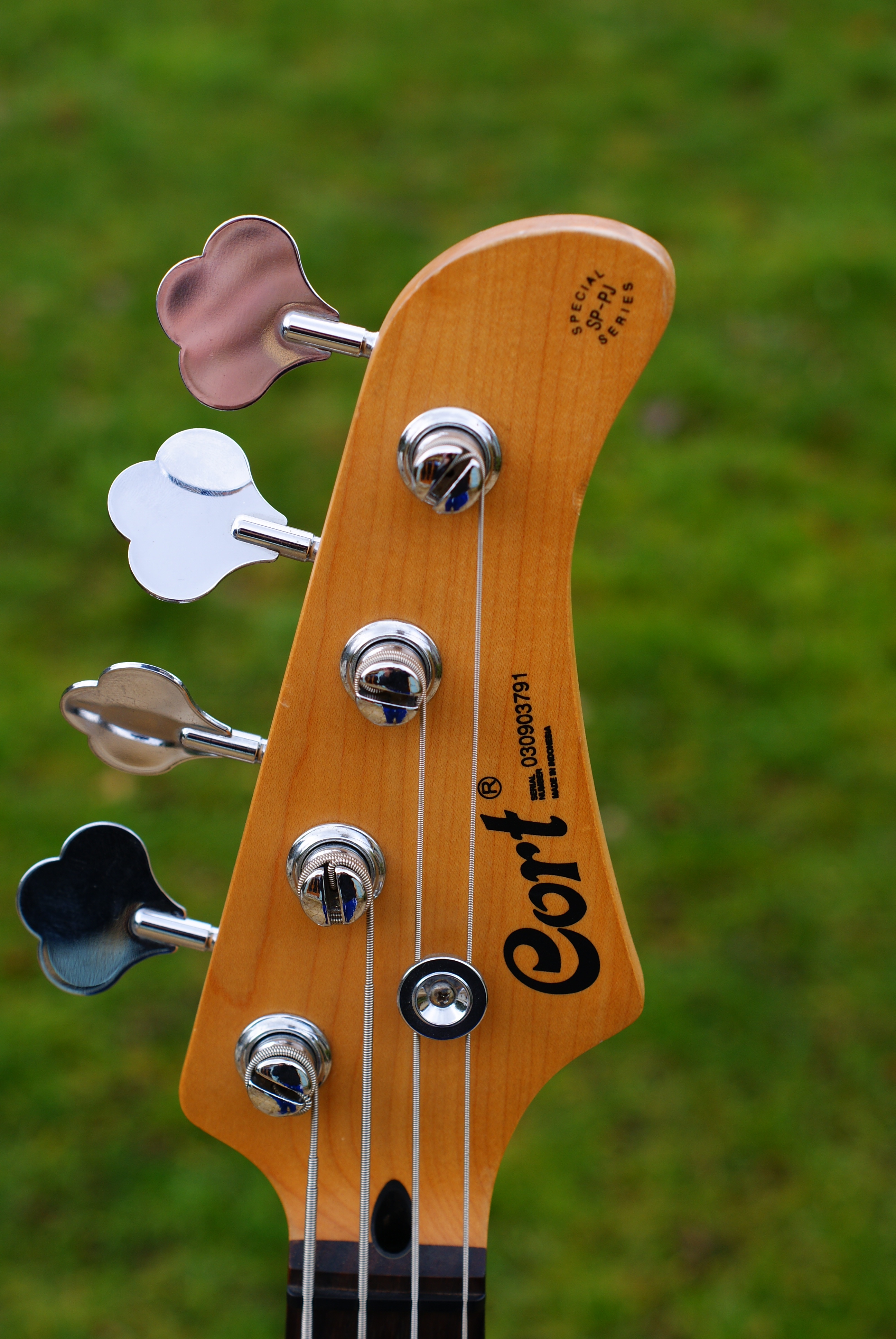 Cort SP-PB. PJ Bass Template. Pj bass