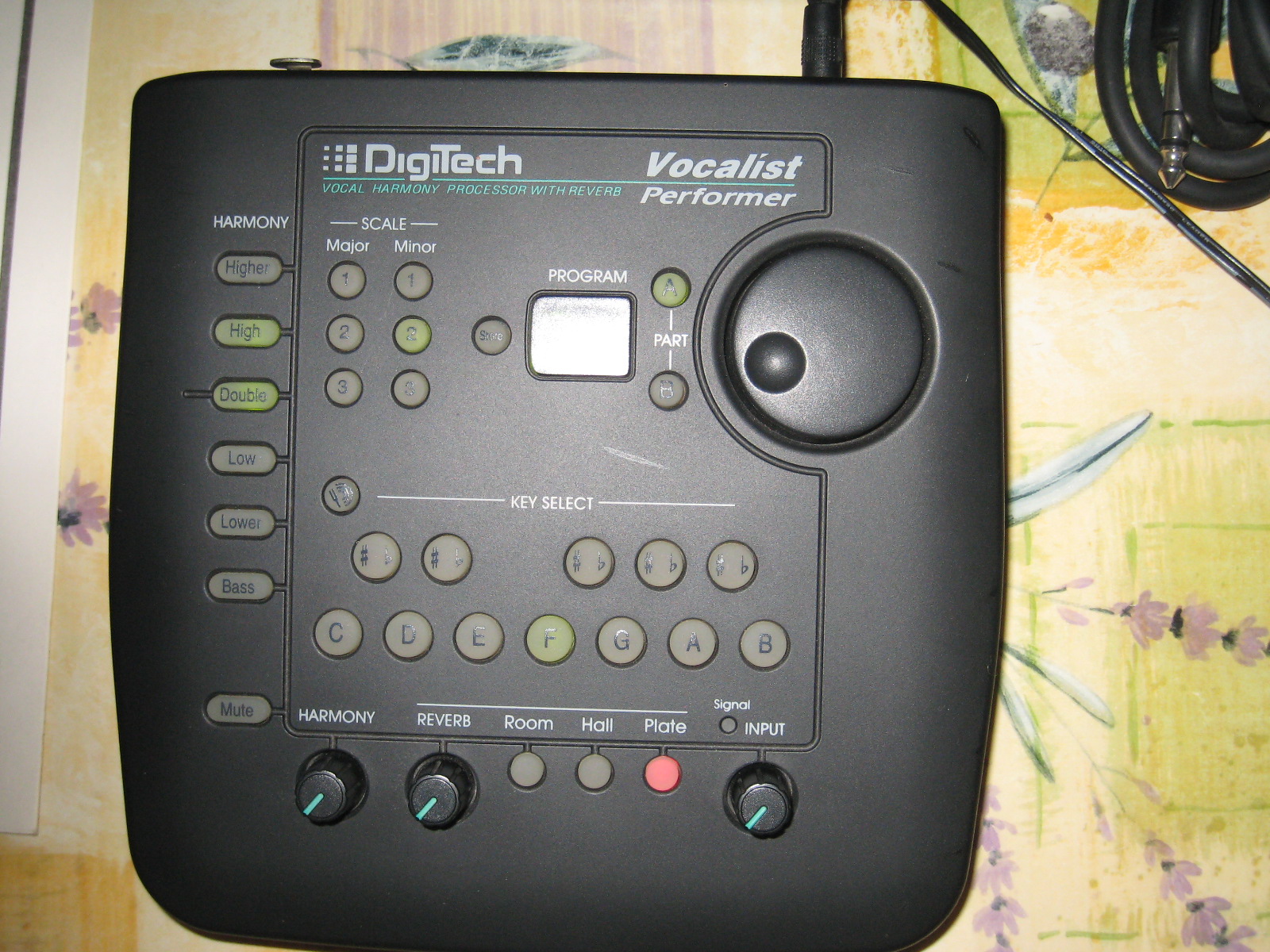 DigiTech Vocalist Performer image (#676971) - Audiofanzine 