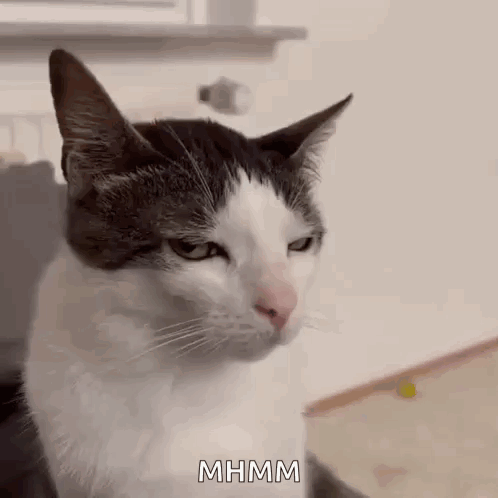 djing-6442795.gif