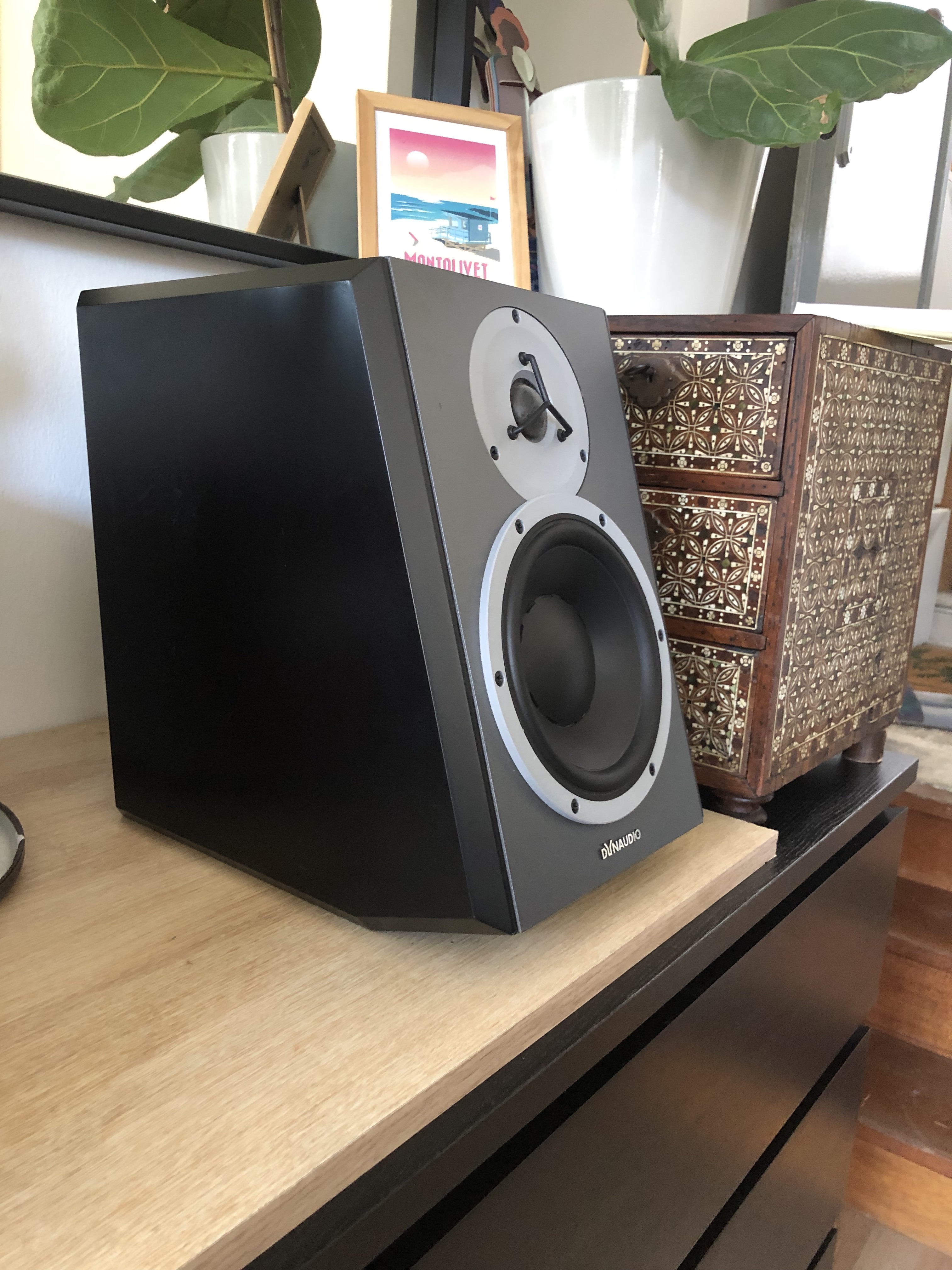 Dynaudio dbm50 store