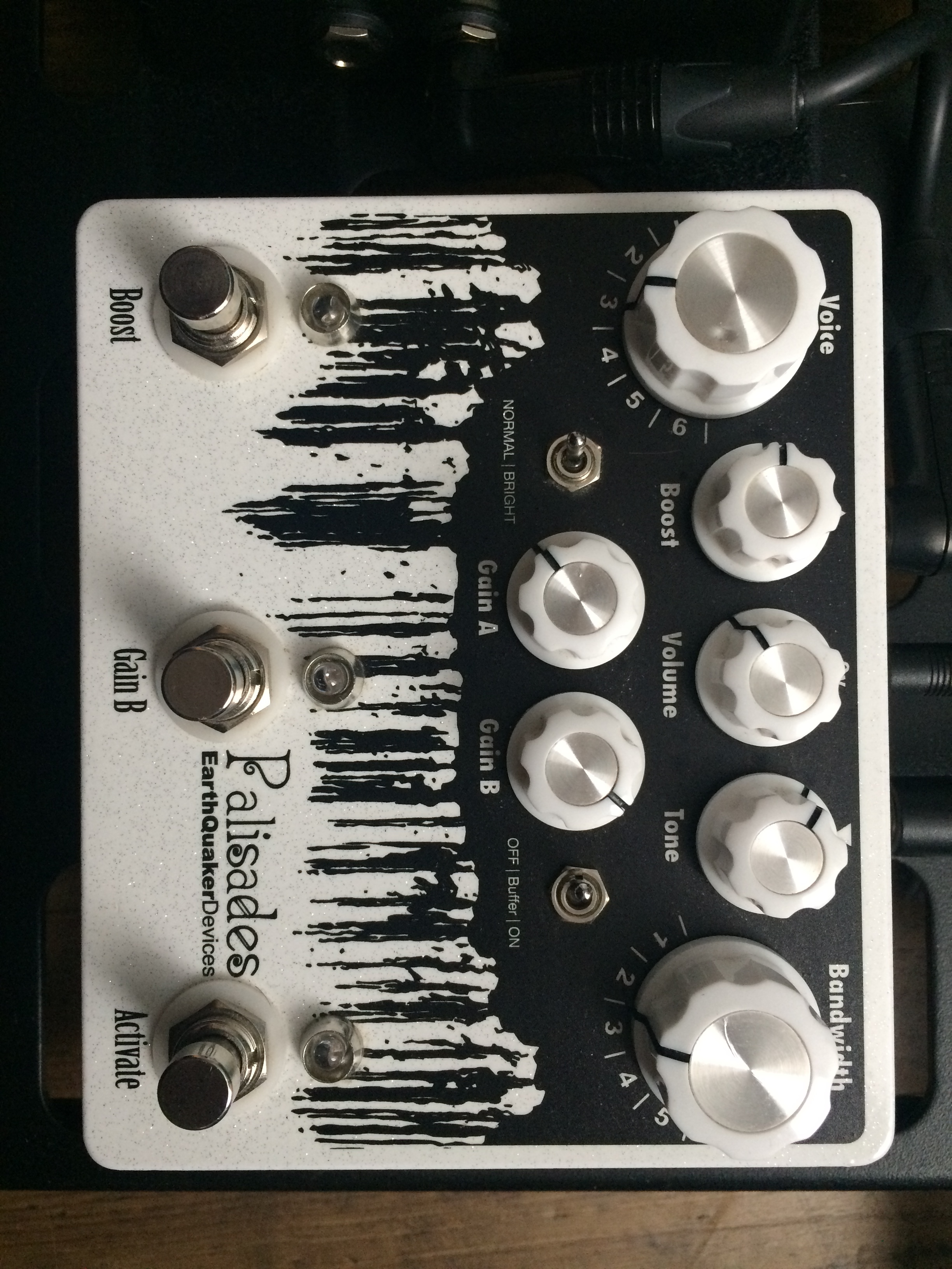 本日のみの価格]EarthQuaker Devices Palisades 豪華で新しい - www