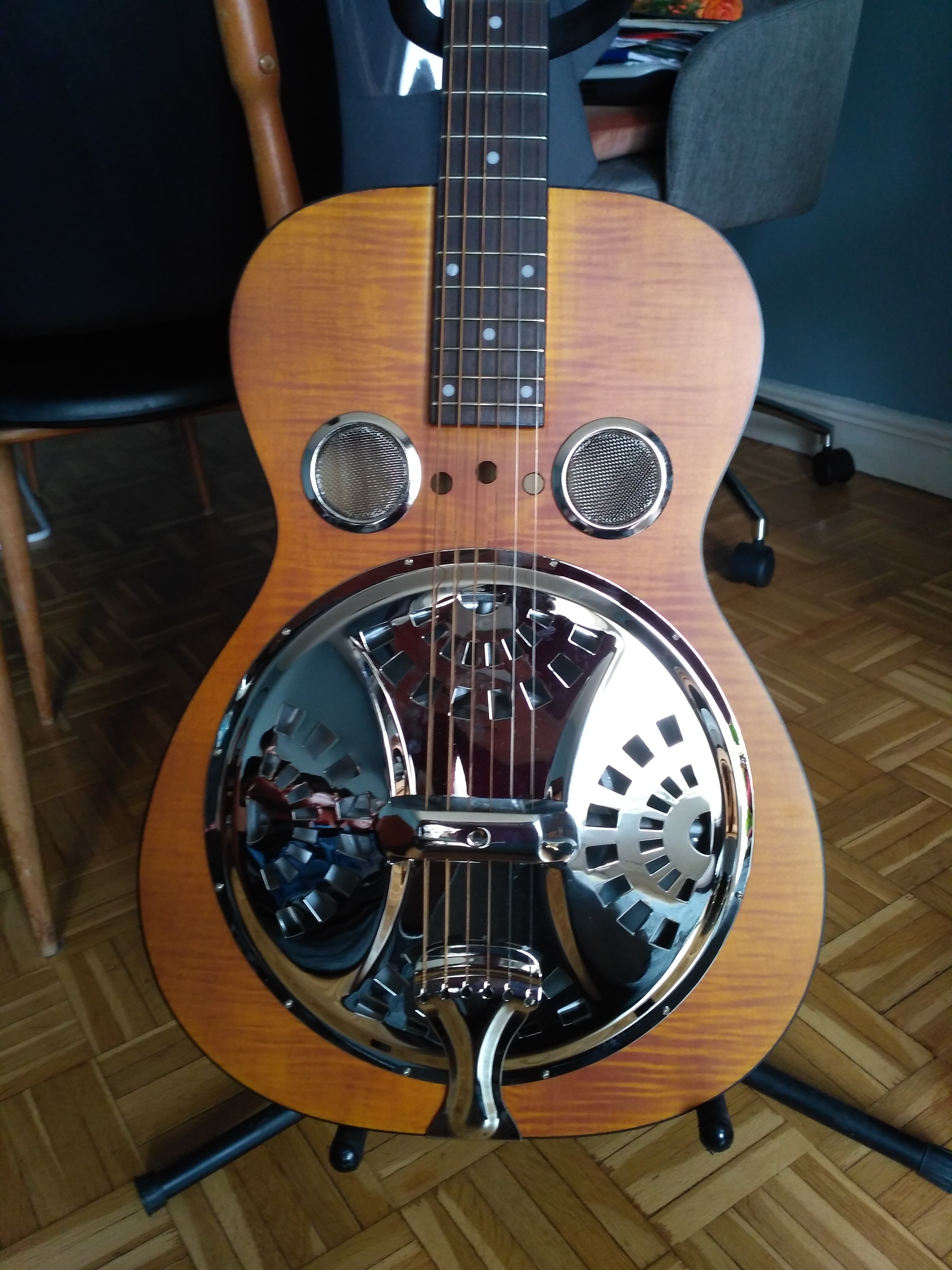 Photo Epiphone Dobro Hound Dog Deluxe Round Neck Epiphone Dobro Hound