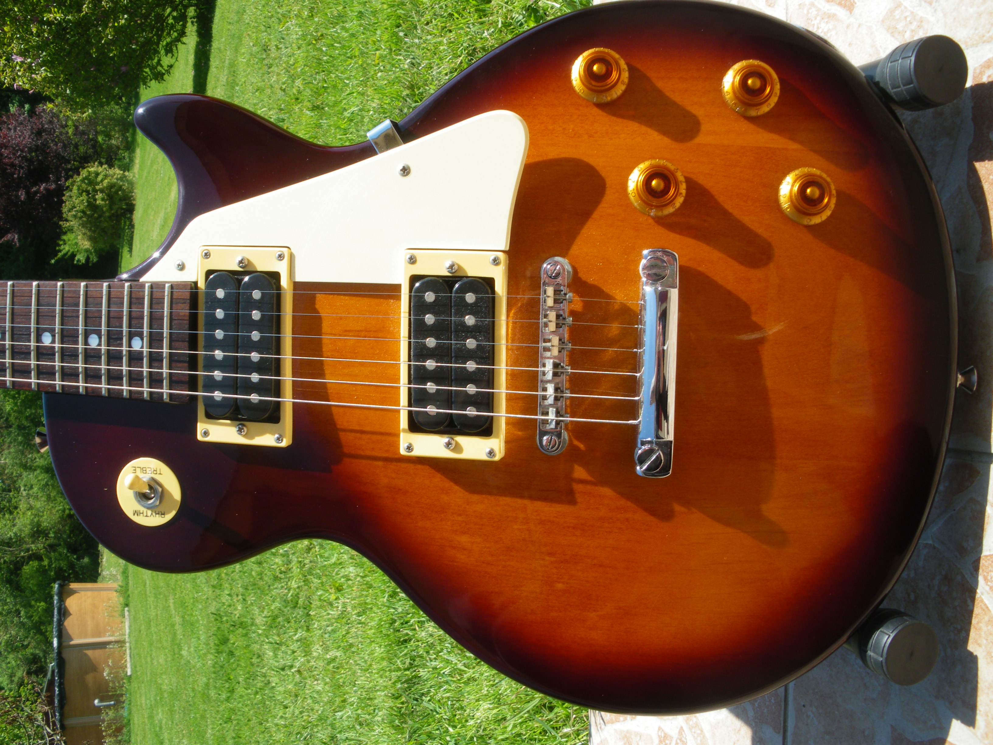 Photo Epiphone Les Paul 100 Epiphone Les Paul 100 (21965) (1804402) Audiofanzine