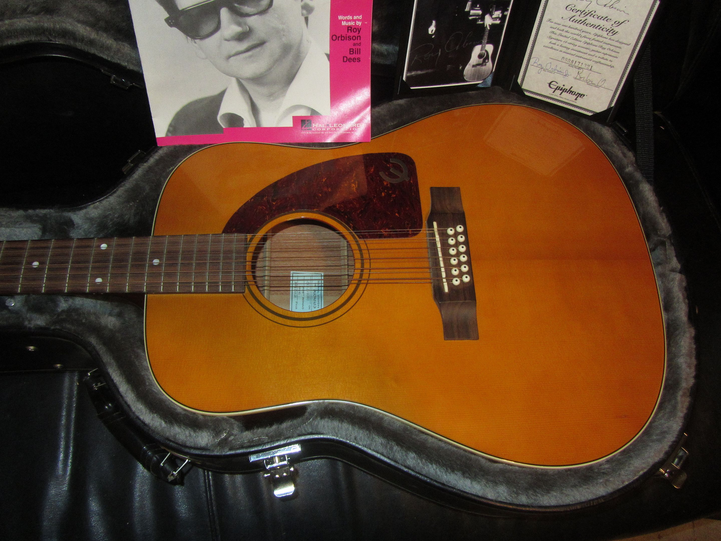 epiphone roy orbison 12 string