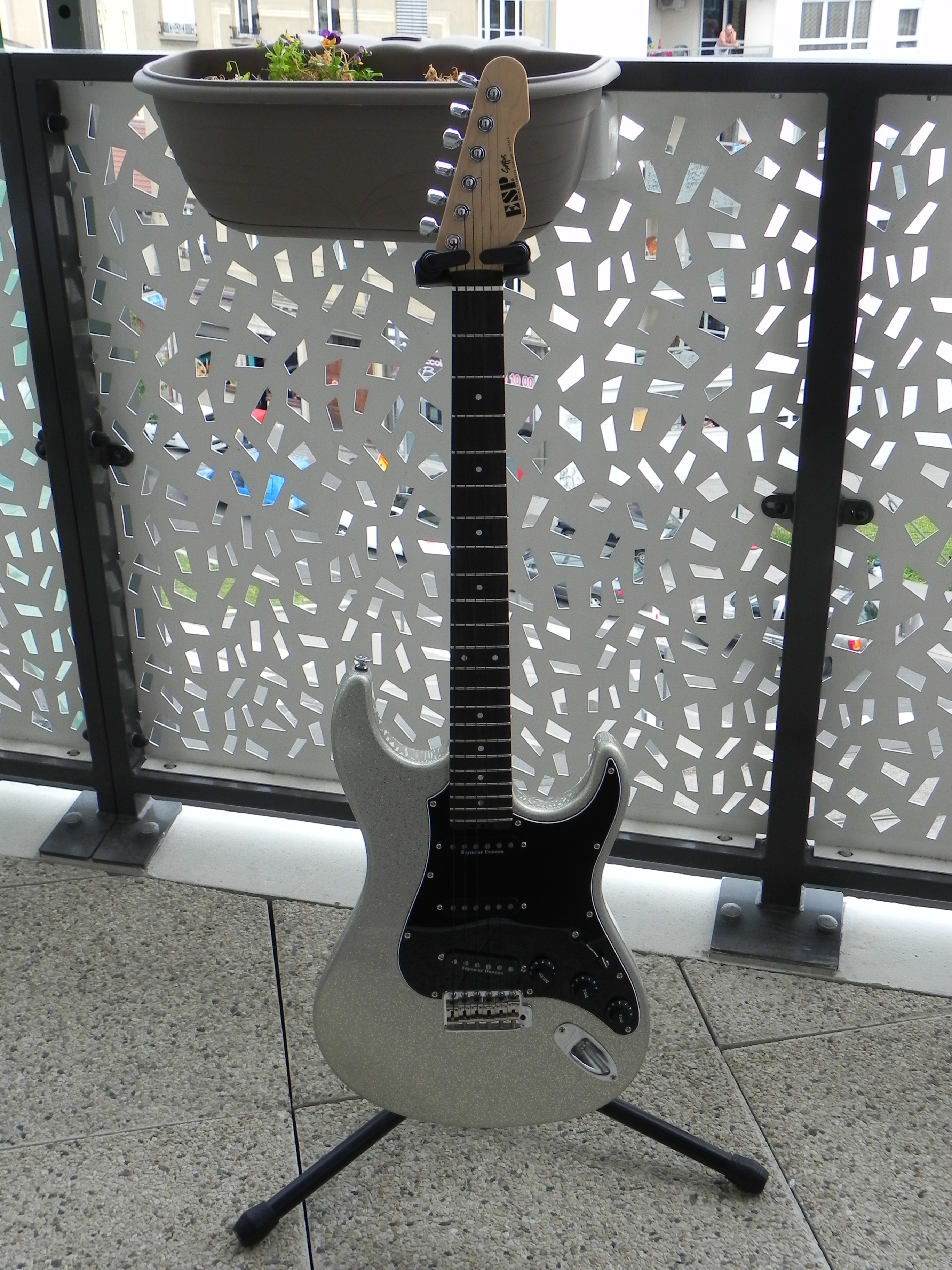 esp-snapper-ohmura-custom-876301.jpg