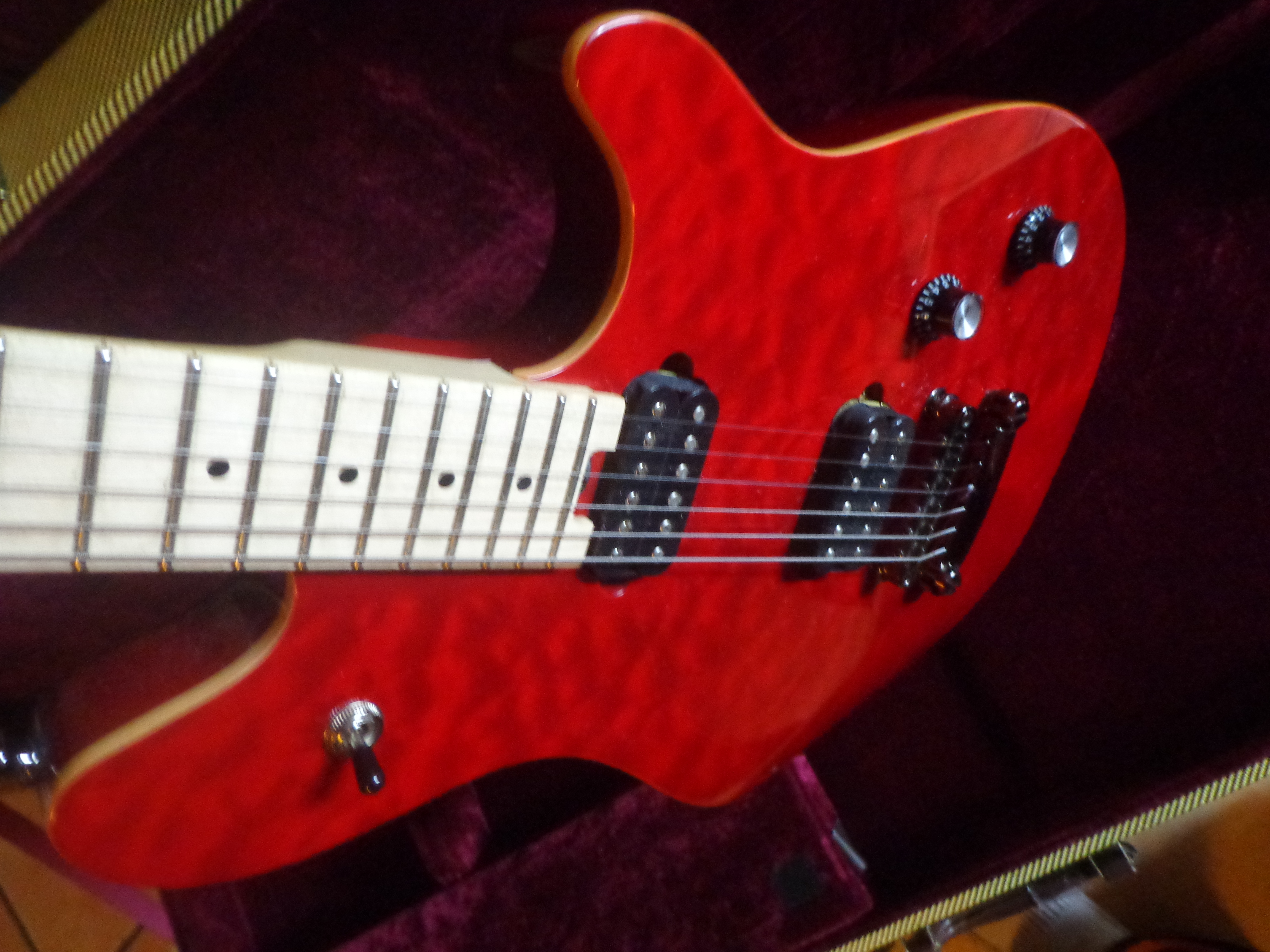 evh wolfgang standard