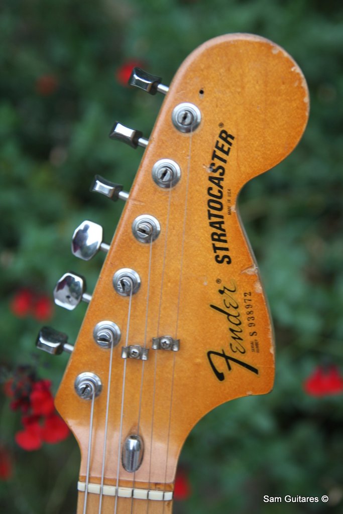 fender-25th-anniversary-american-stratocaster-1979-2717249.jpg