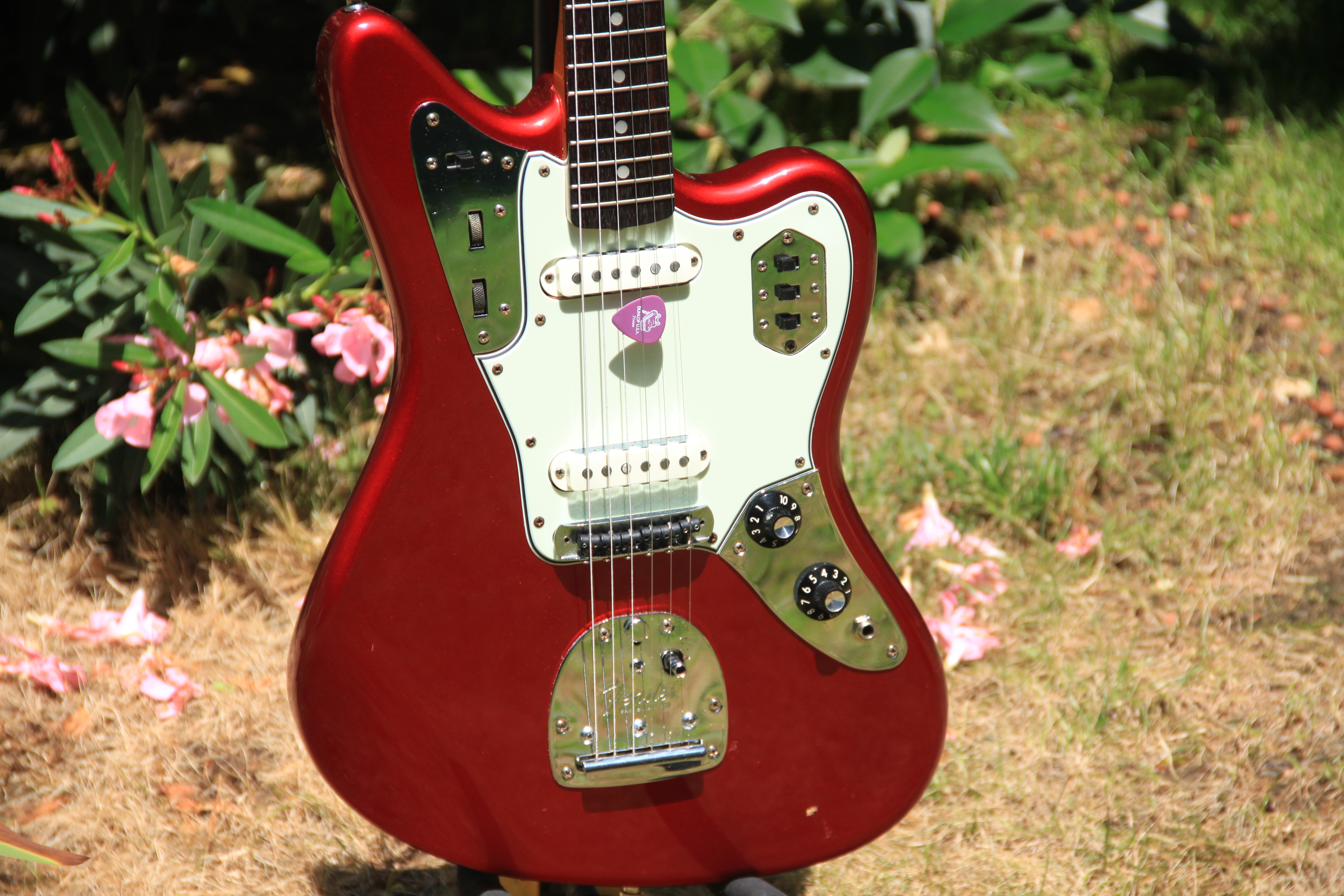 Fender jaguar pickups