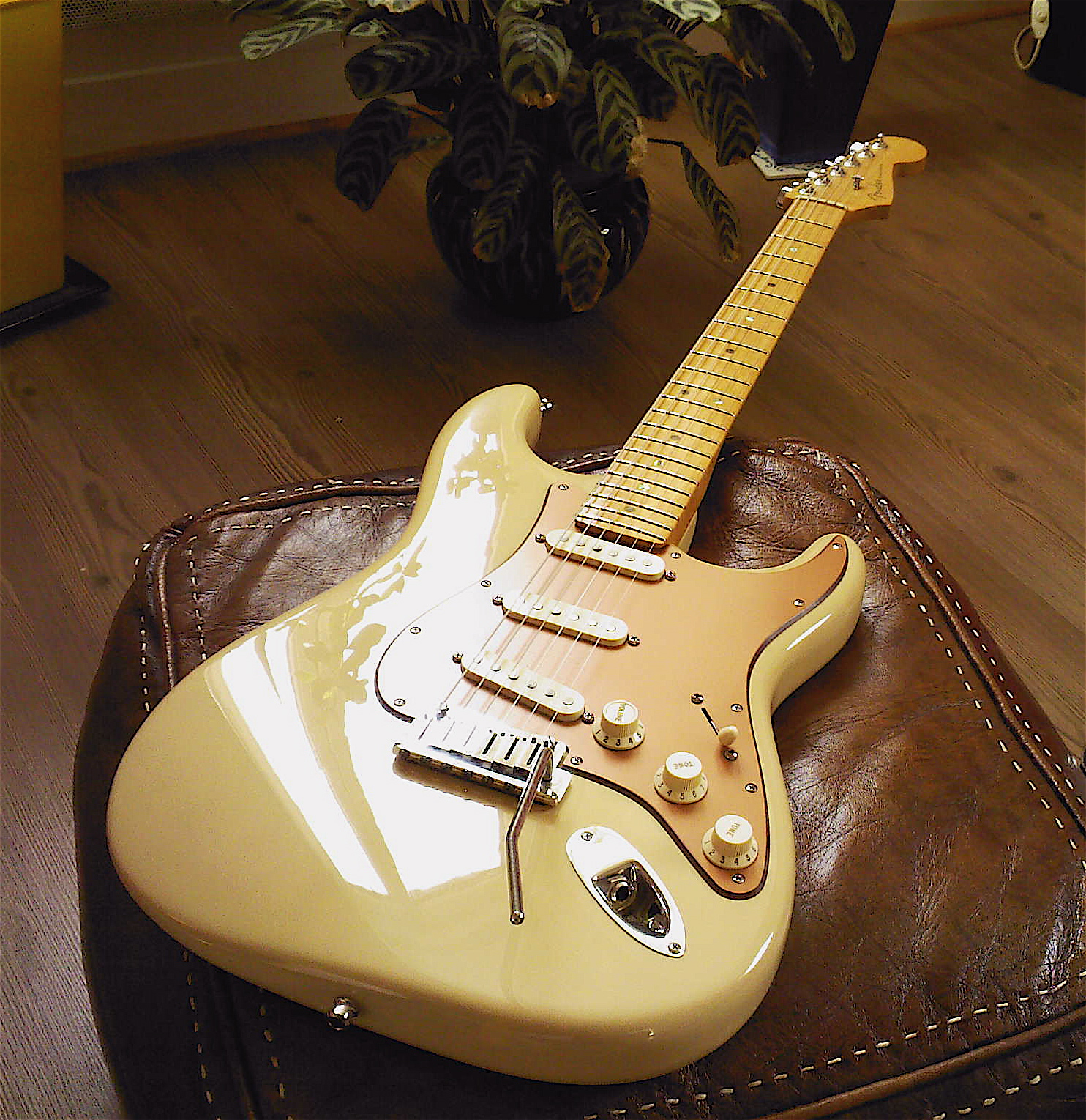 Fender American Deluxe Stratocaster V Neck [20042010] image (236920
