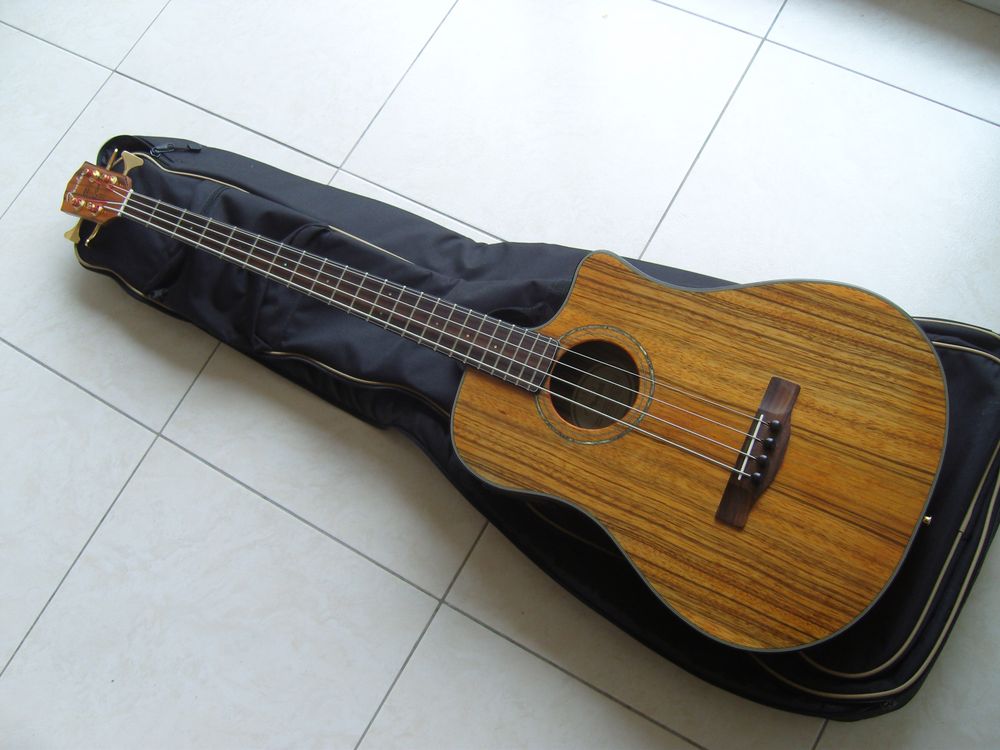 Fender Victor Bailey Acoustic Bass image (51160) Audiofanzine