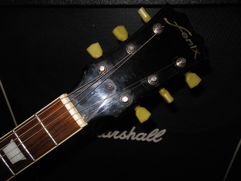 fenix sg