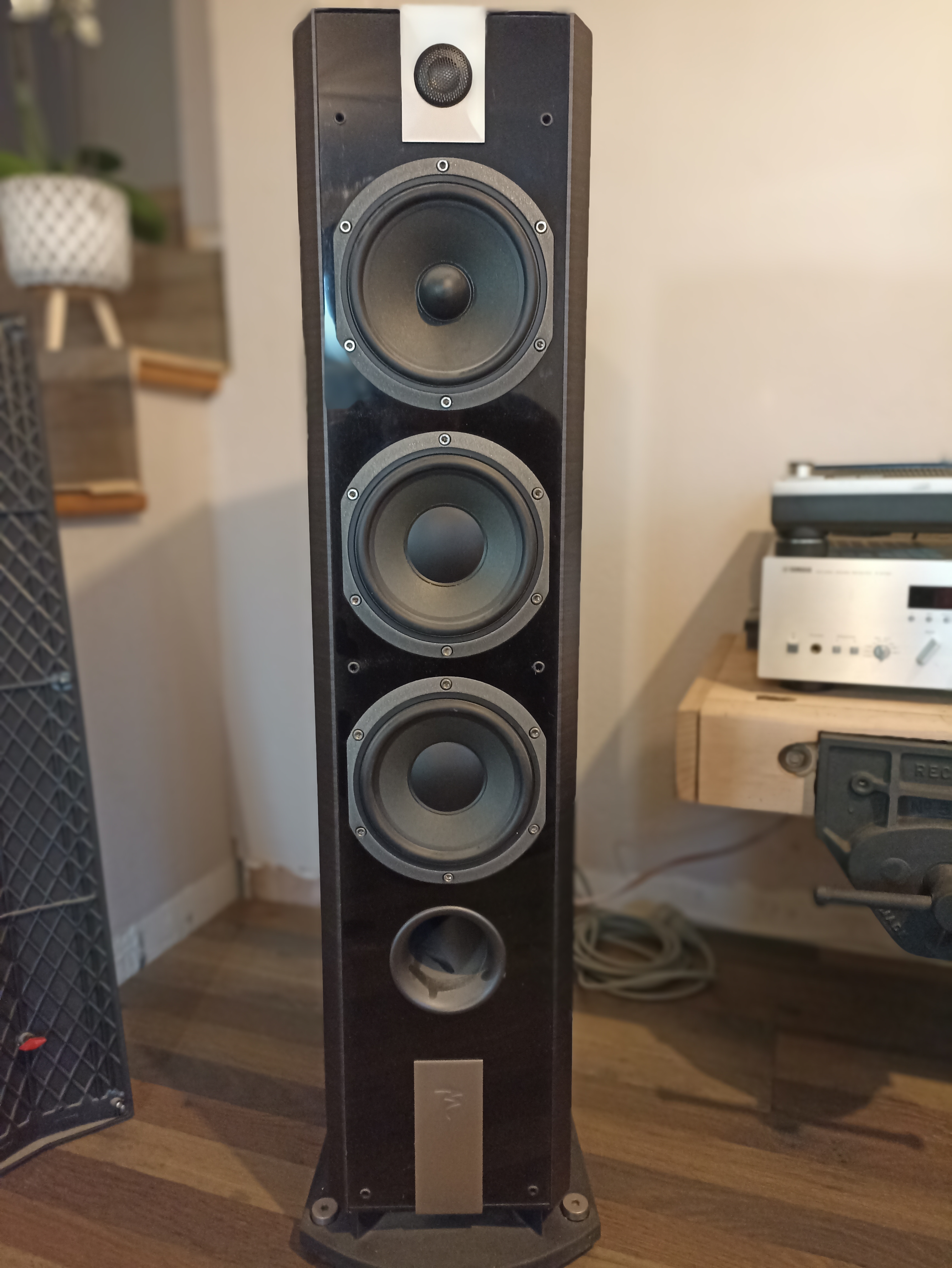 focal 826v