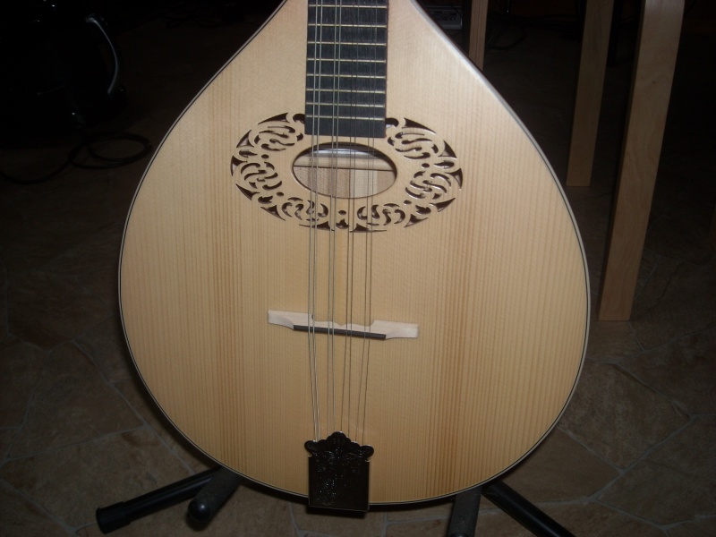 IRISH BOUZOUKI Fylde Irish Bouzouki Audiofanzine