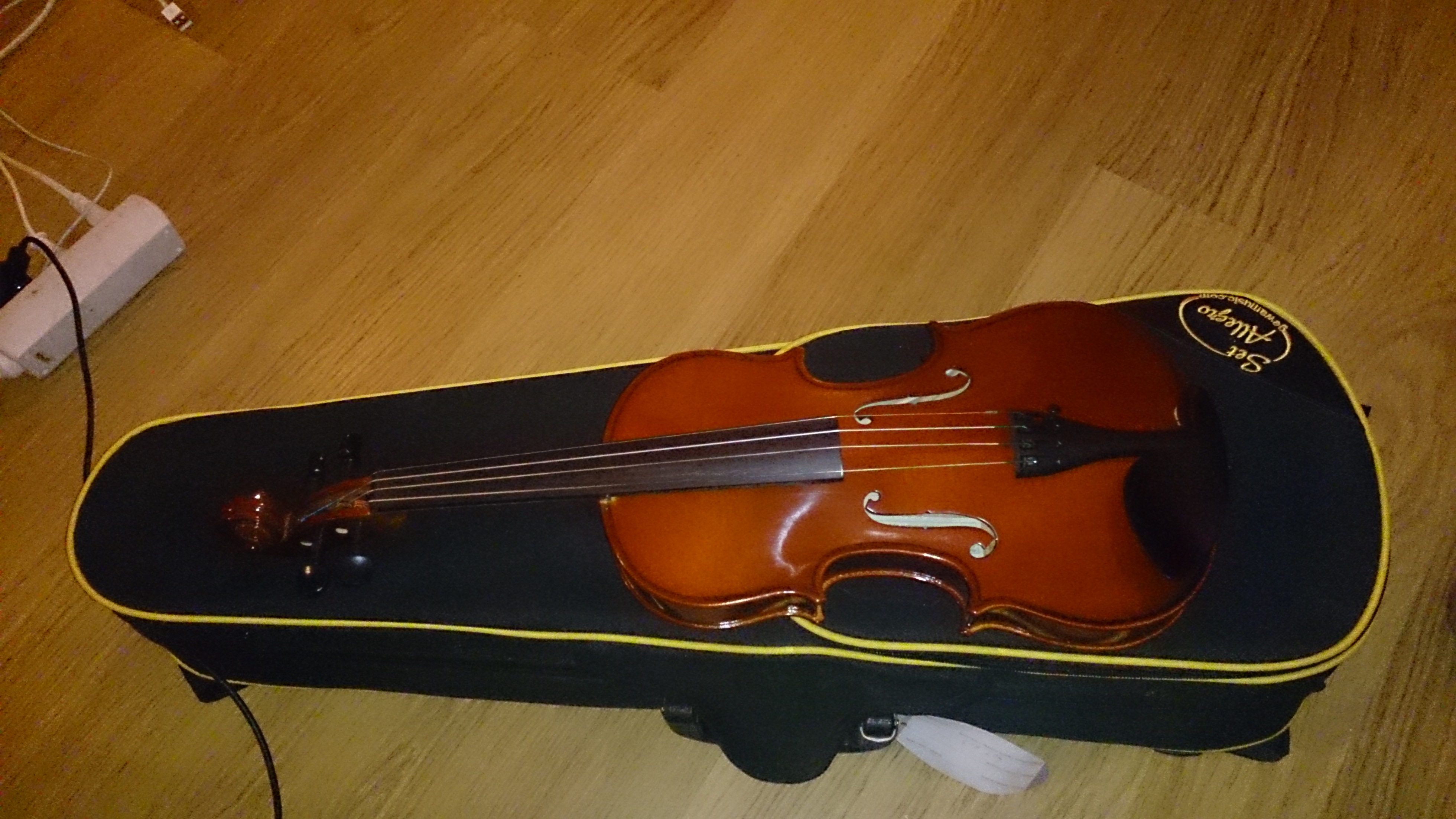 Photo Gewa Violon Serie Allegro 4/4' : GEWA Music Violon Serie Allegro ...