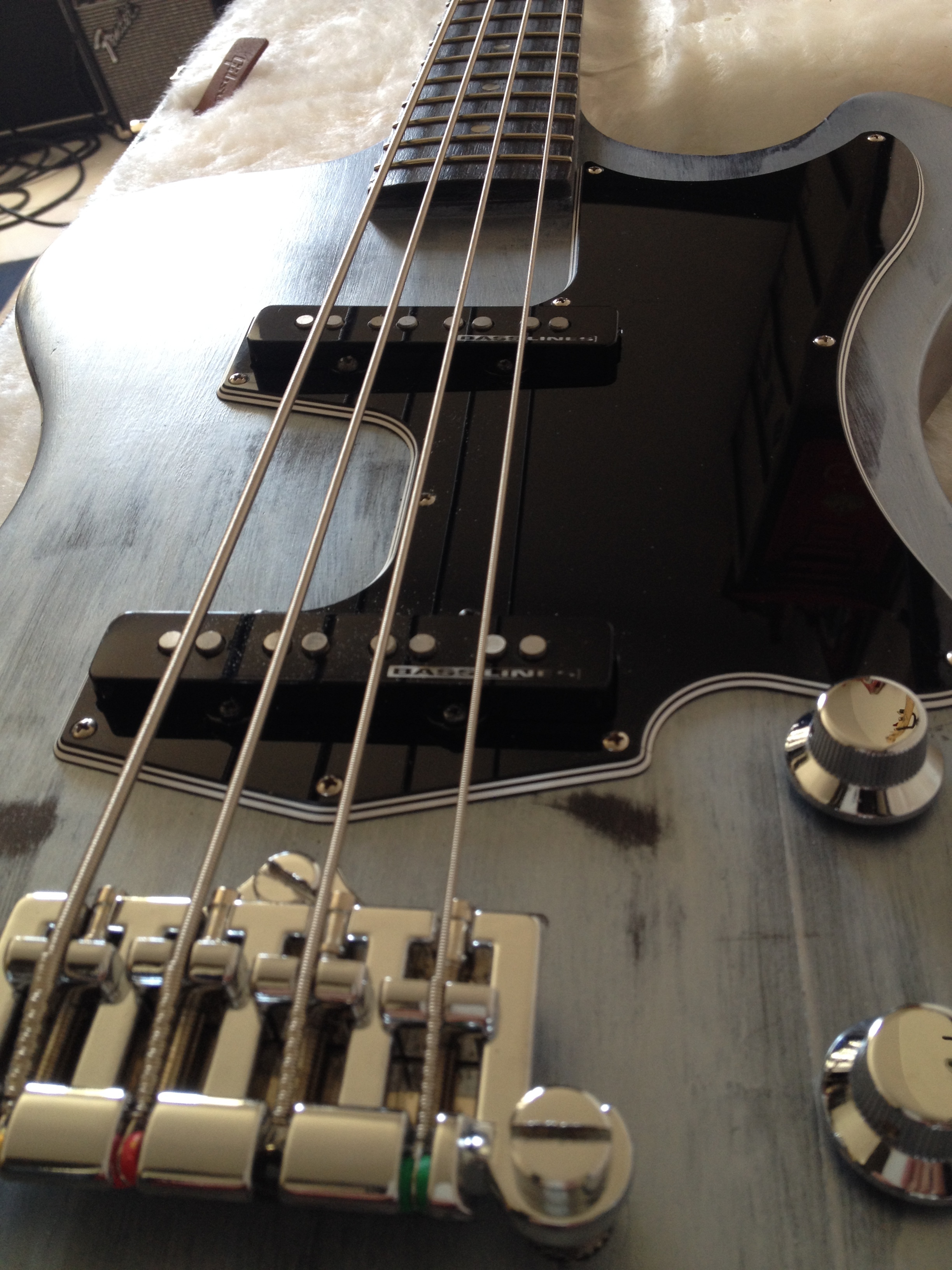 Krist Novoselic Signature RD Bass - Ebony Gibson - Audiofanzine