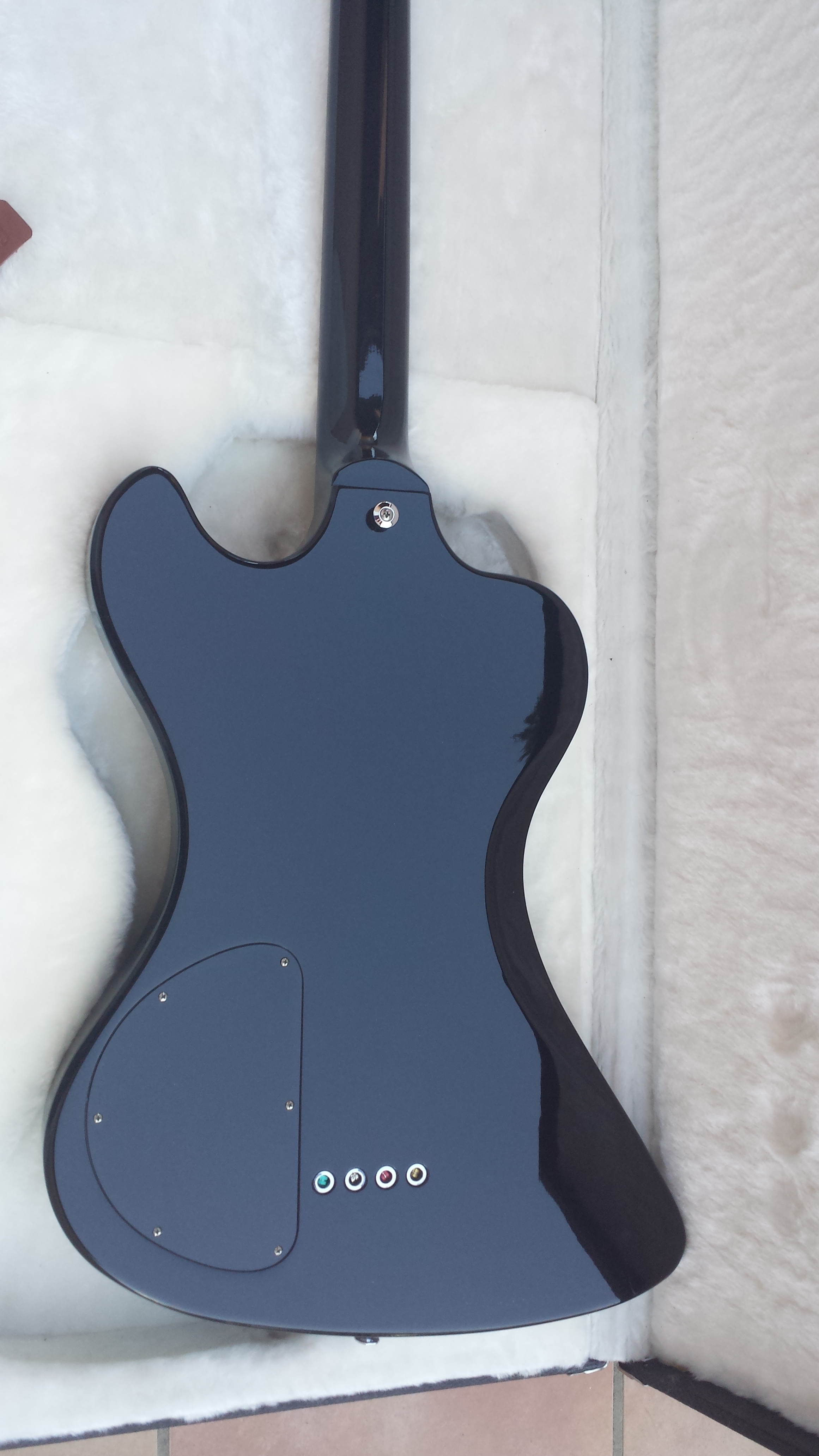 Krist Novoselic Signature RD Bass Ebony Gibson Audiofanzine