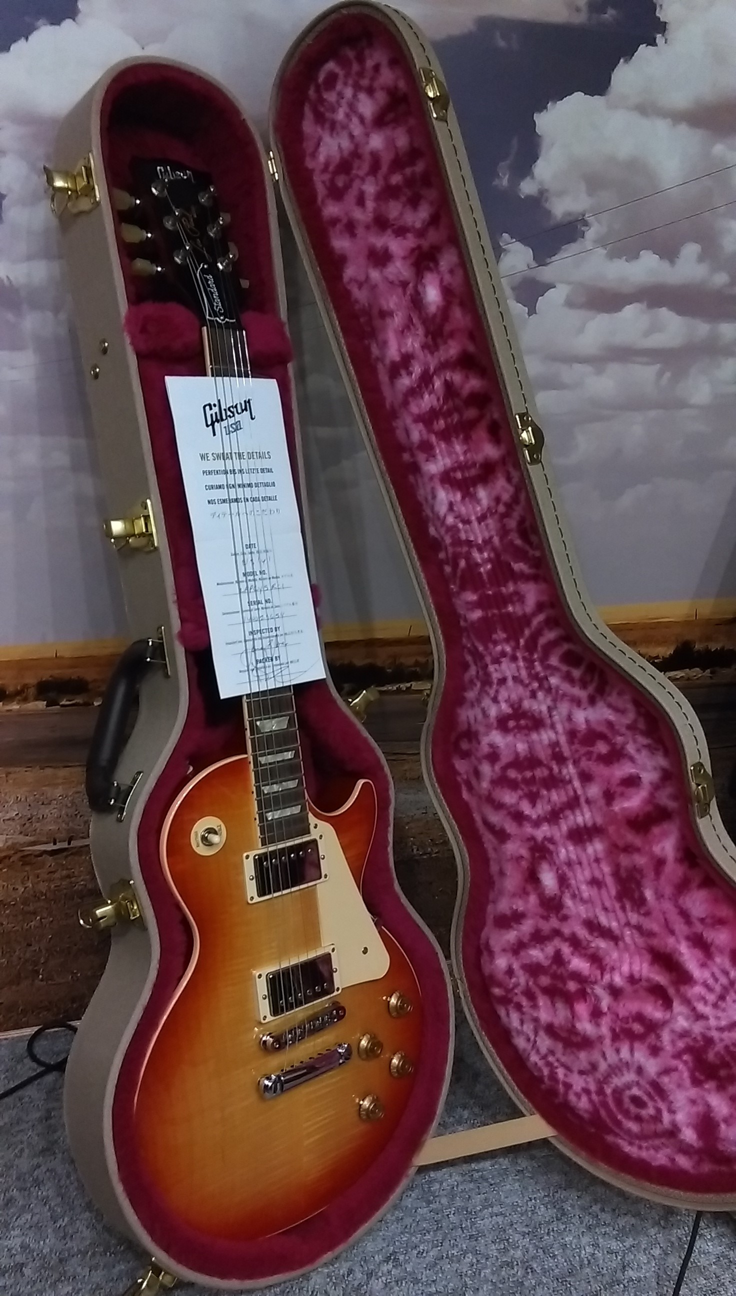 Gibson Les Paul Peace 2014 Serenity Sunrise image (1635928