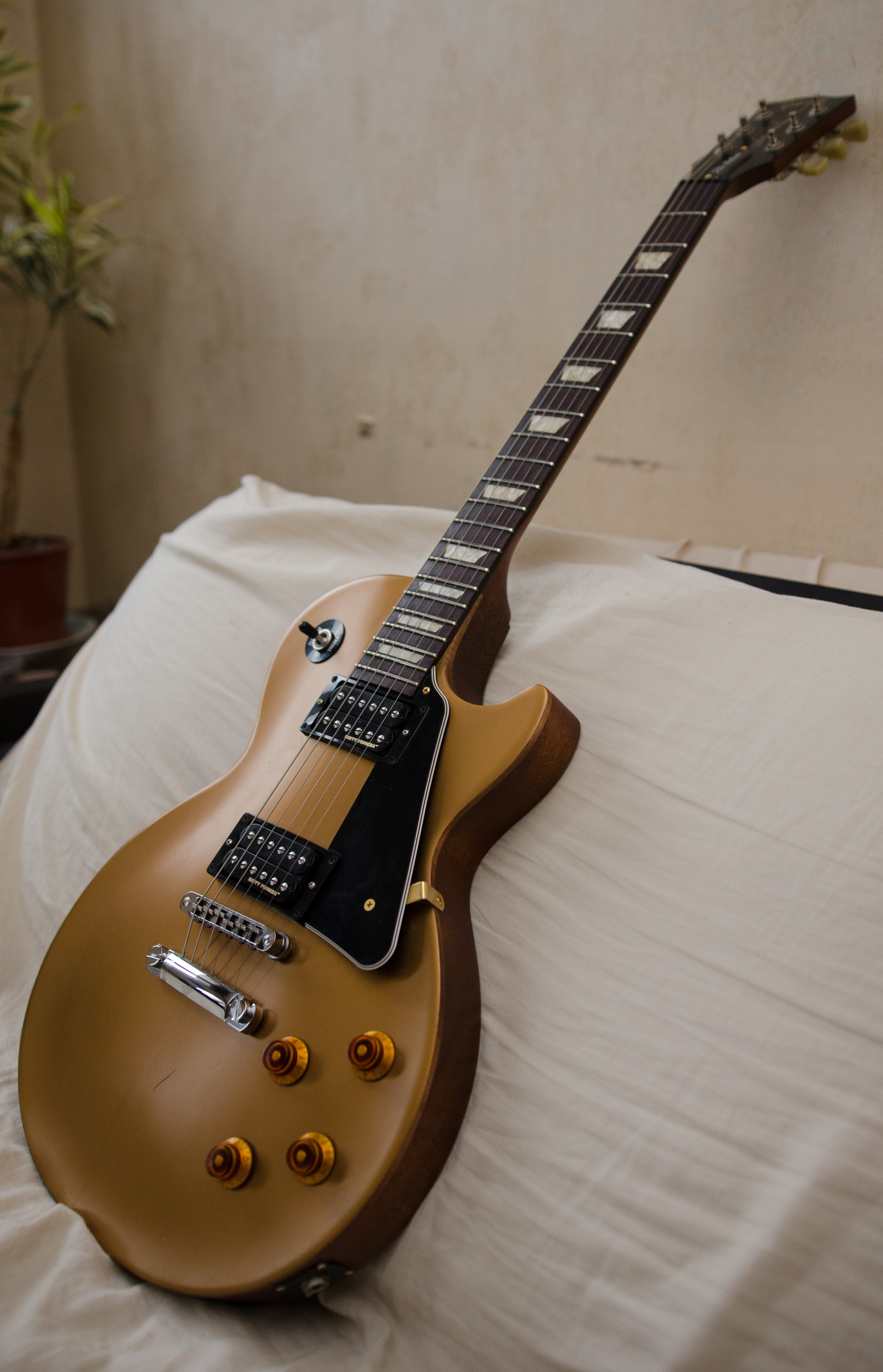les paul studio gold top