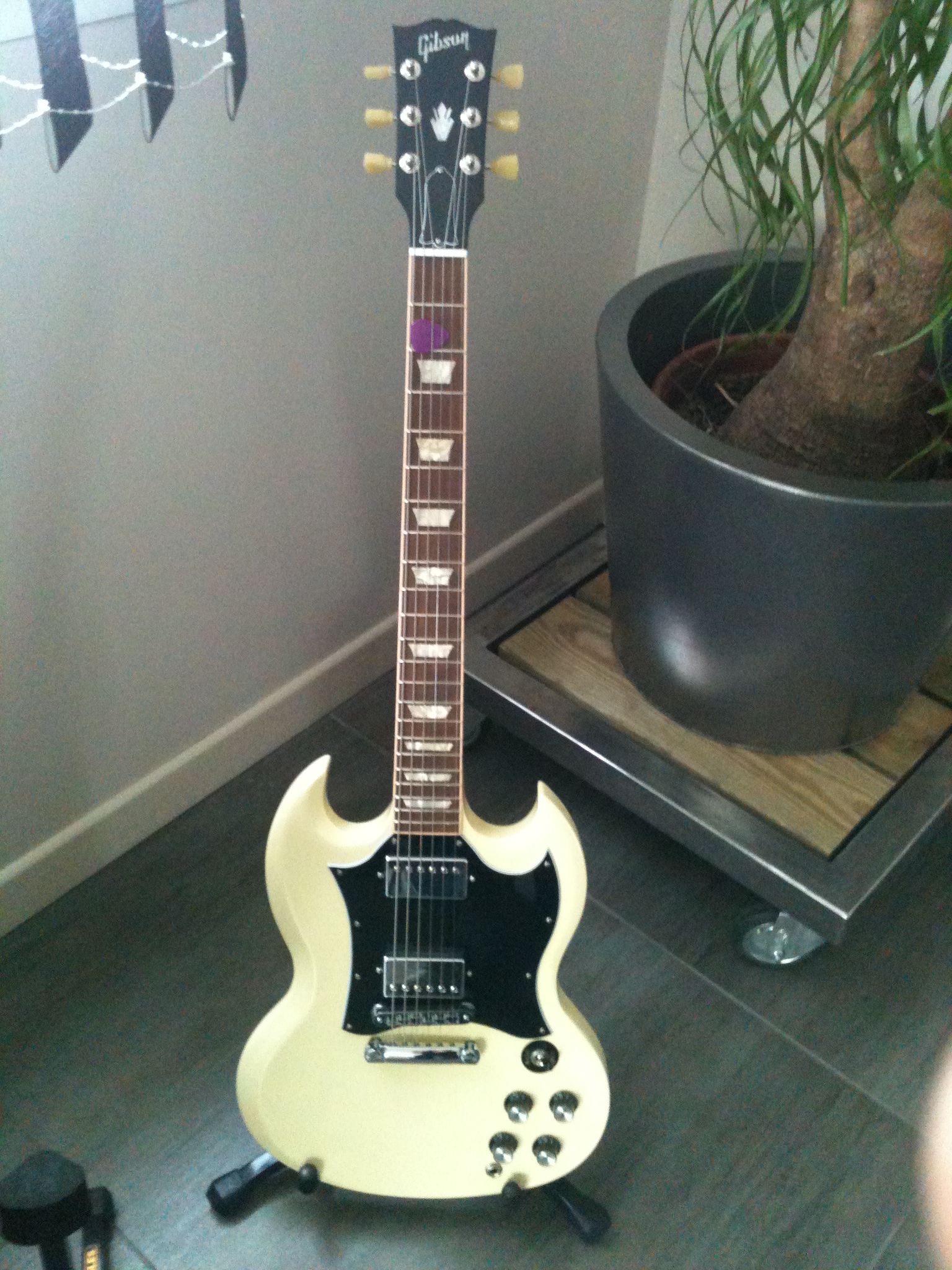 Photo Gibson SG Standard Limited Cream Gibson [SG Series] SG