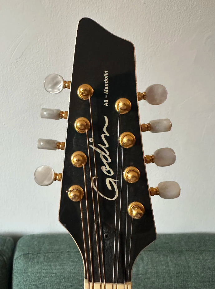 A8 Mandolin - Godin A8 Mandolin - Audiofanzine
