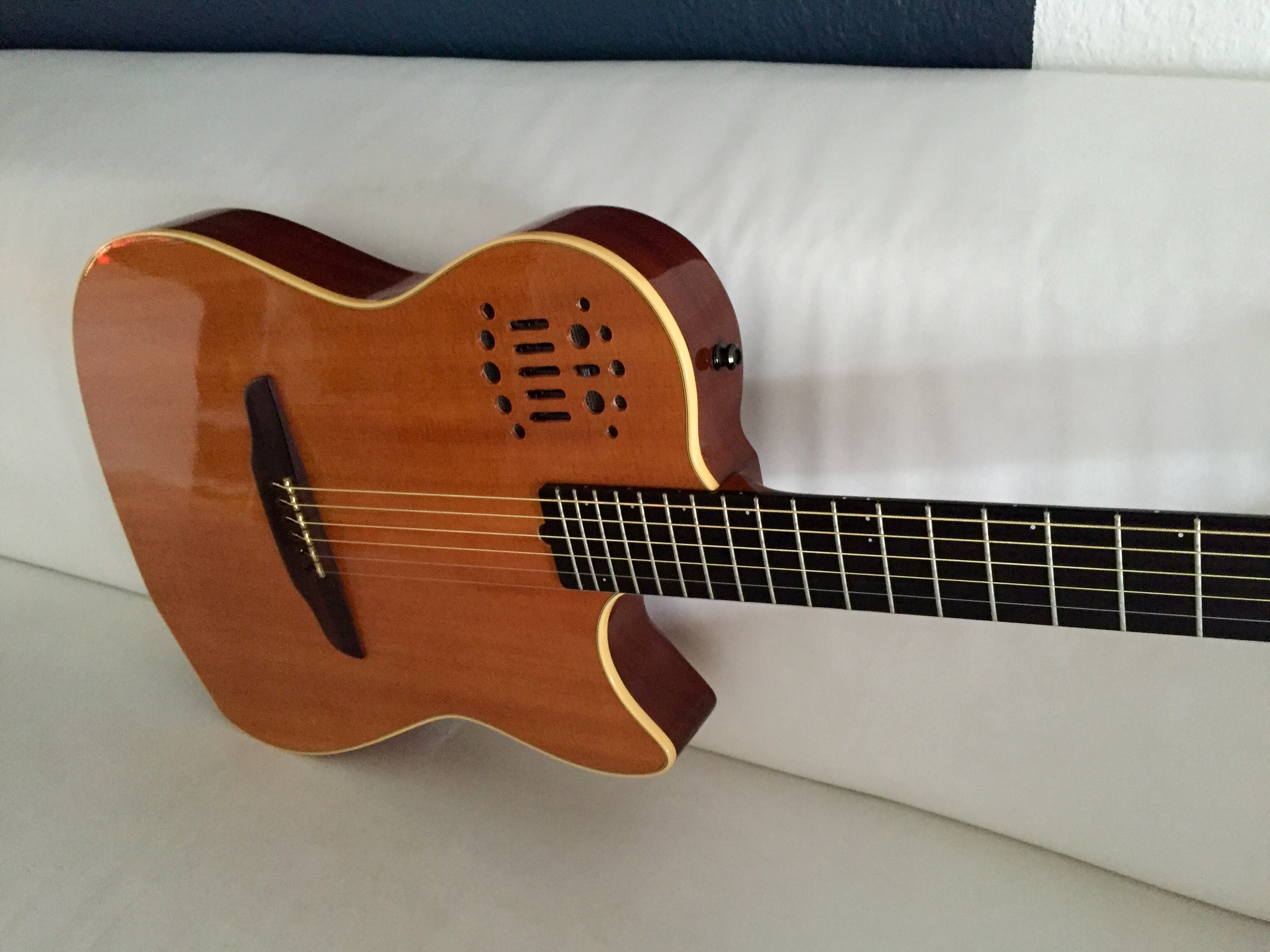 Godin Multiac Duet Steel image (1412815) Audiofanzine