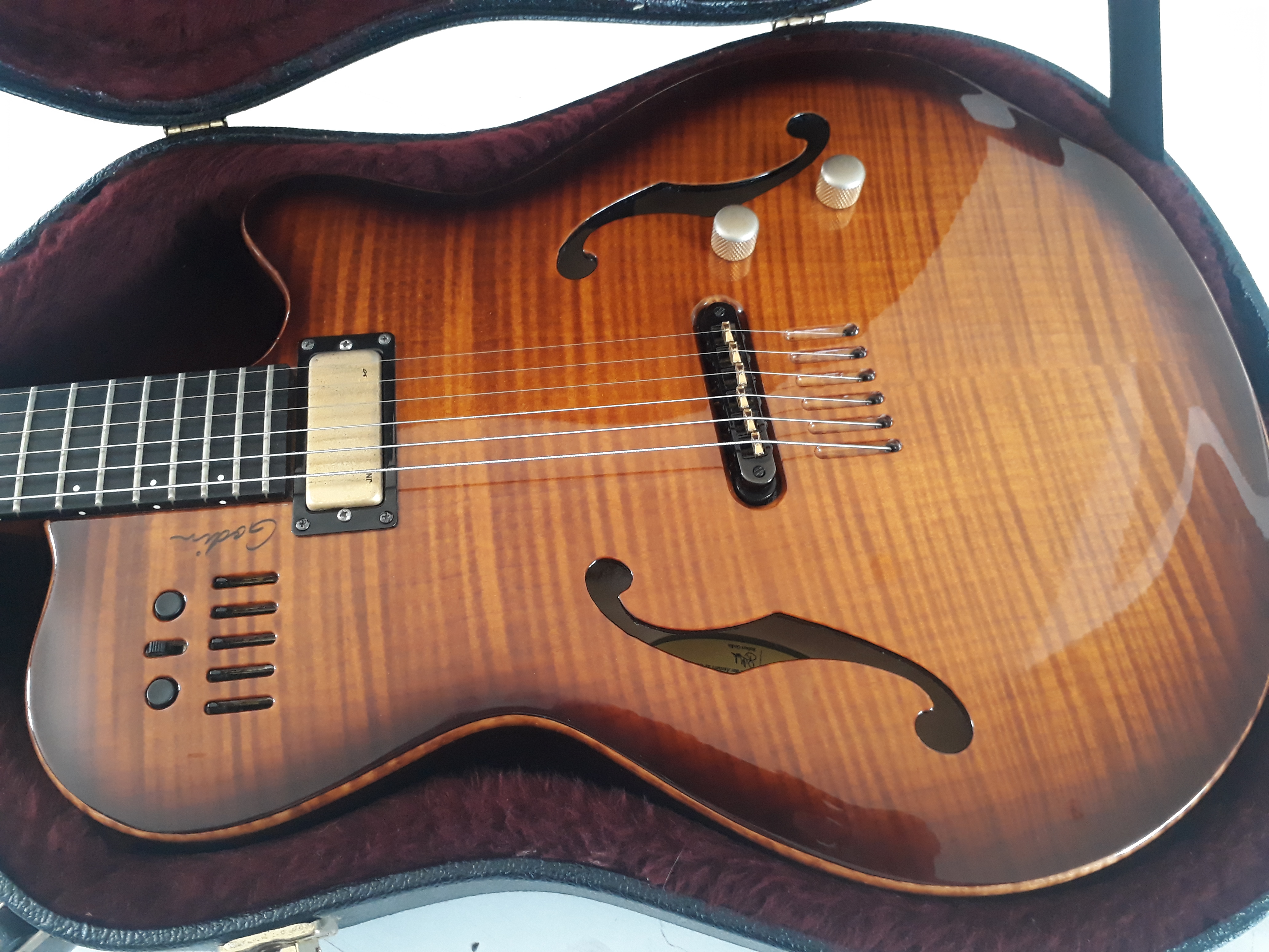 MULTIAC JAZZ SA Godin Multiac Jazz SA Audiofanzine