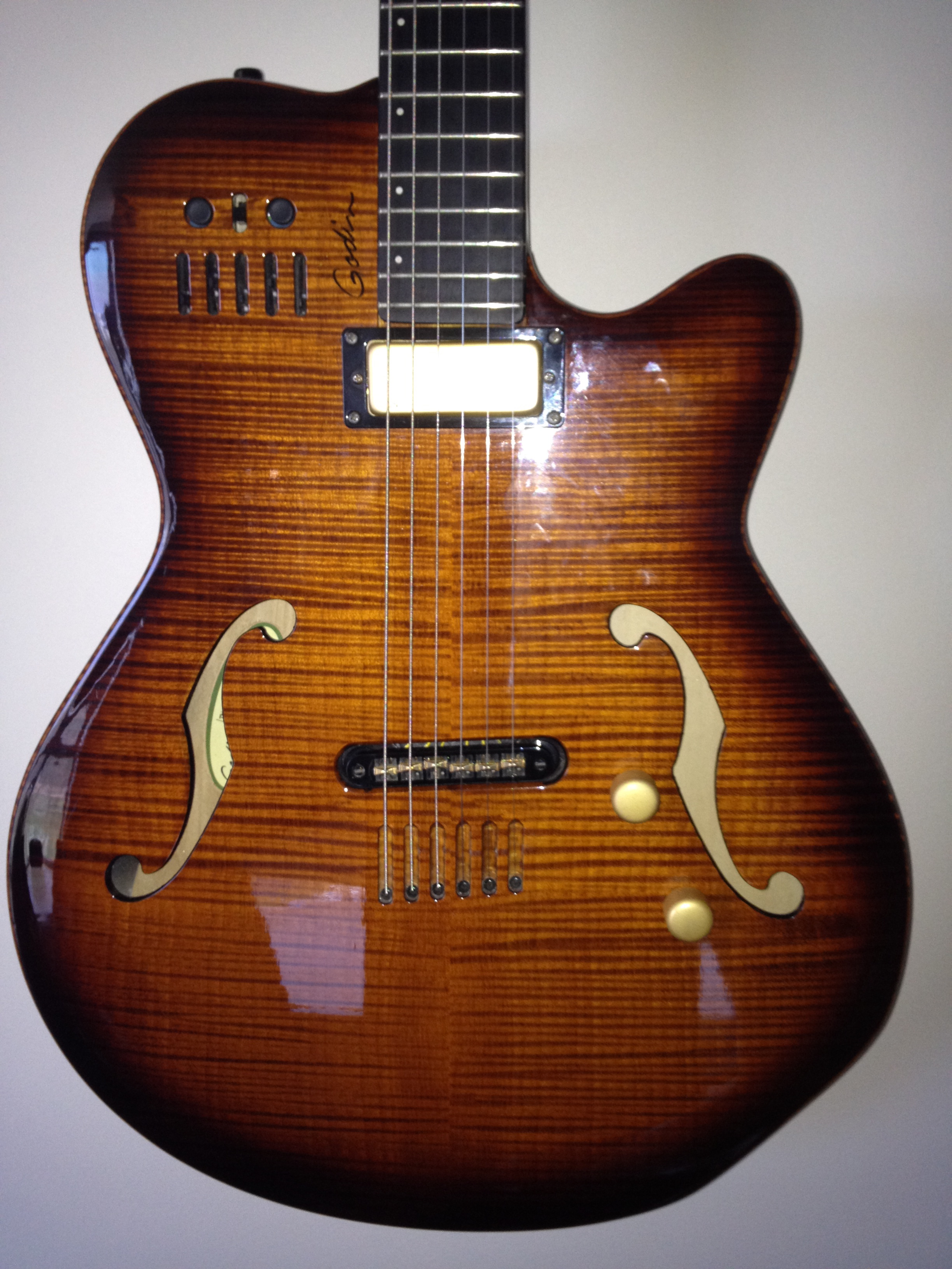 Godin Multiac Jazz SA image (536061) Audiofanzine