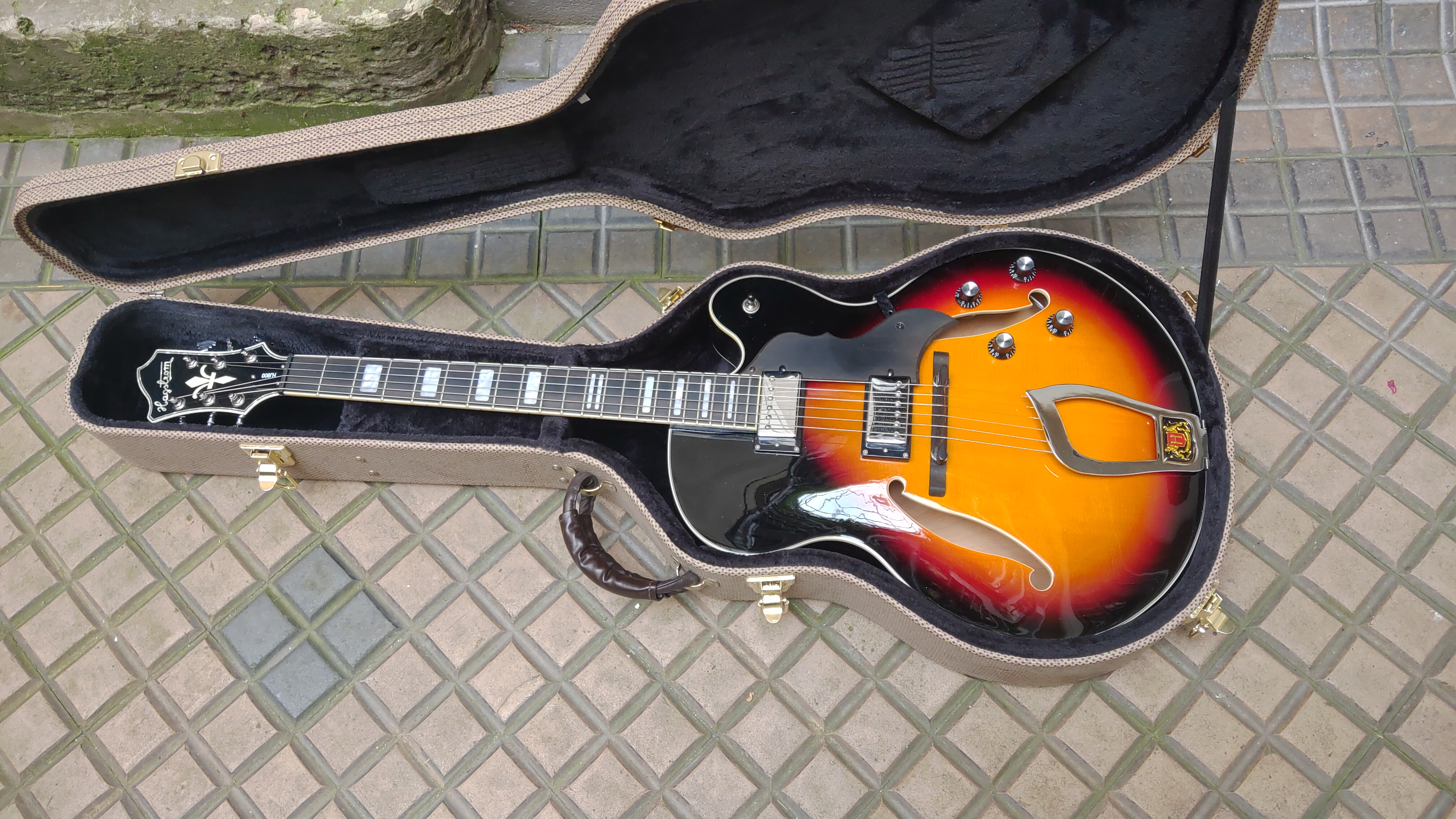 hagstrom hj 800