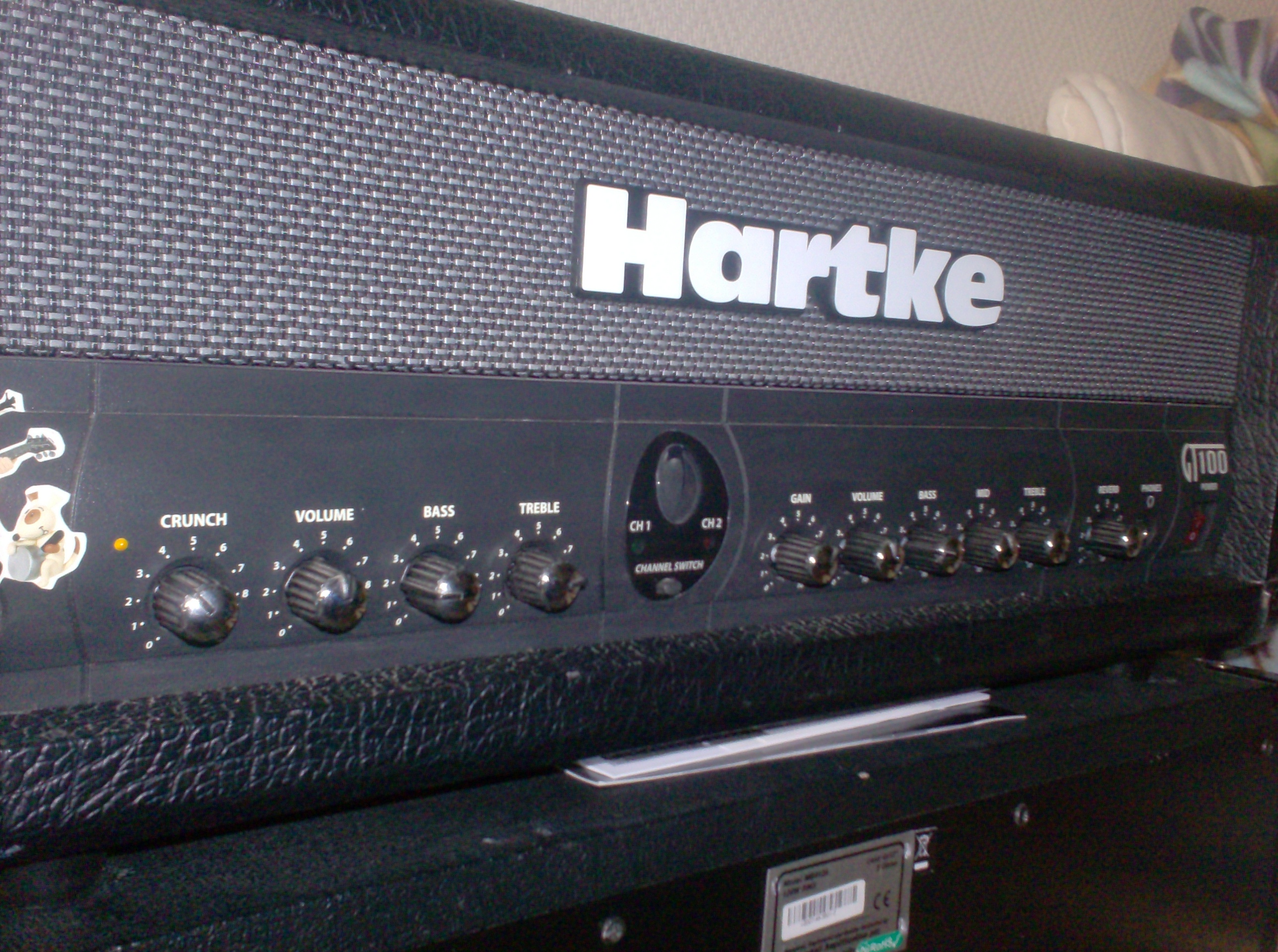 hartke gt100 head