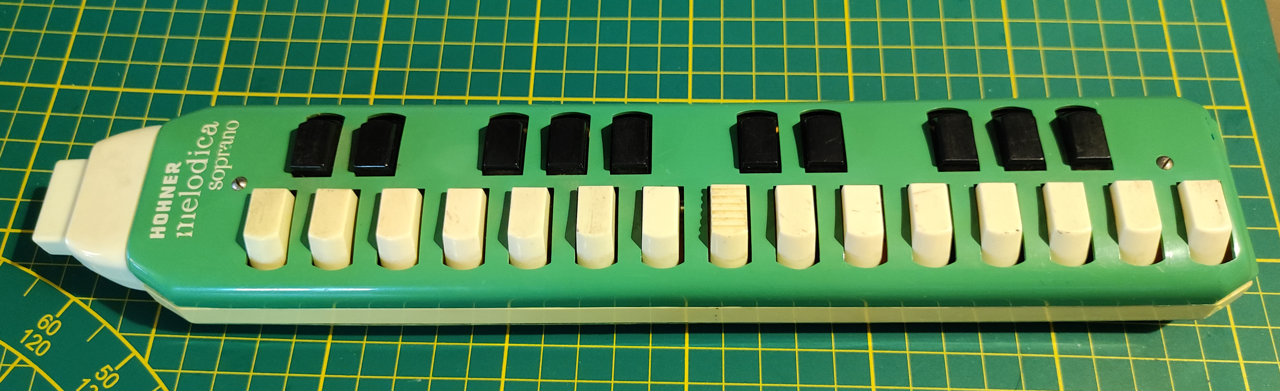 MELODICA FAMILY