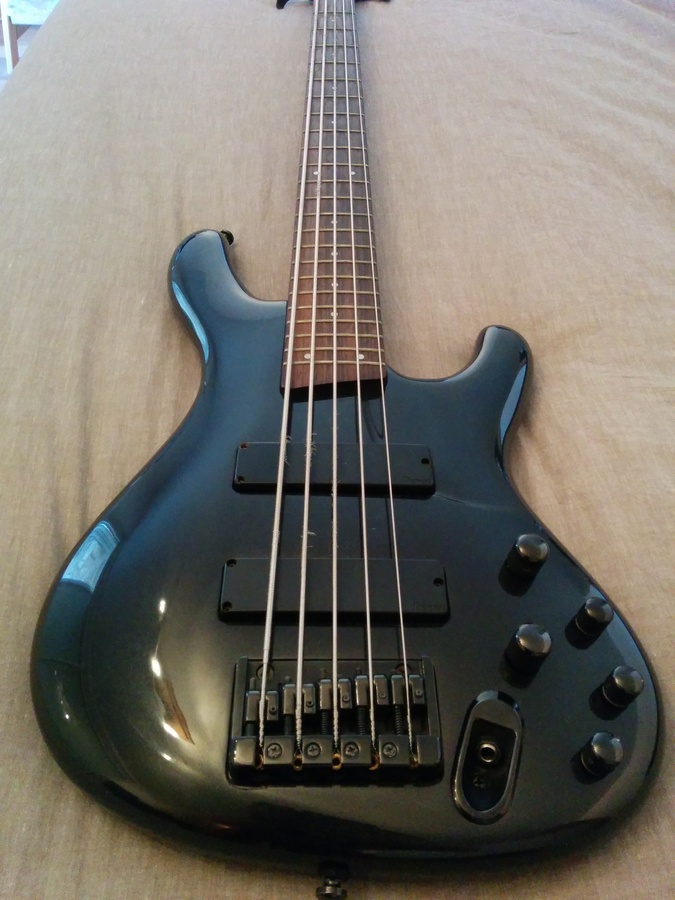 Ibanez Ergodyne EDB-605 5 string electric bass guitar satin gris 