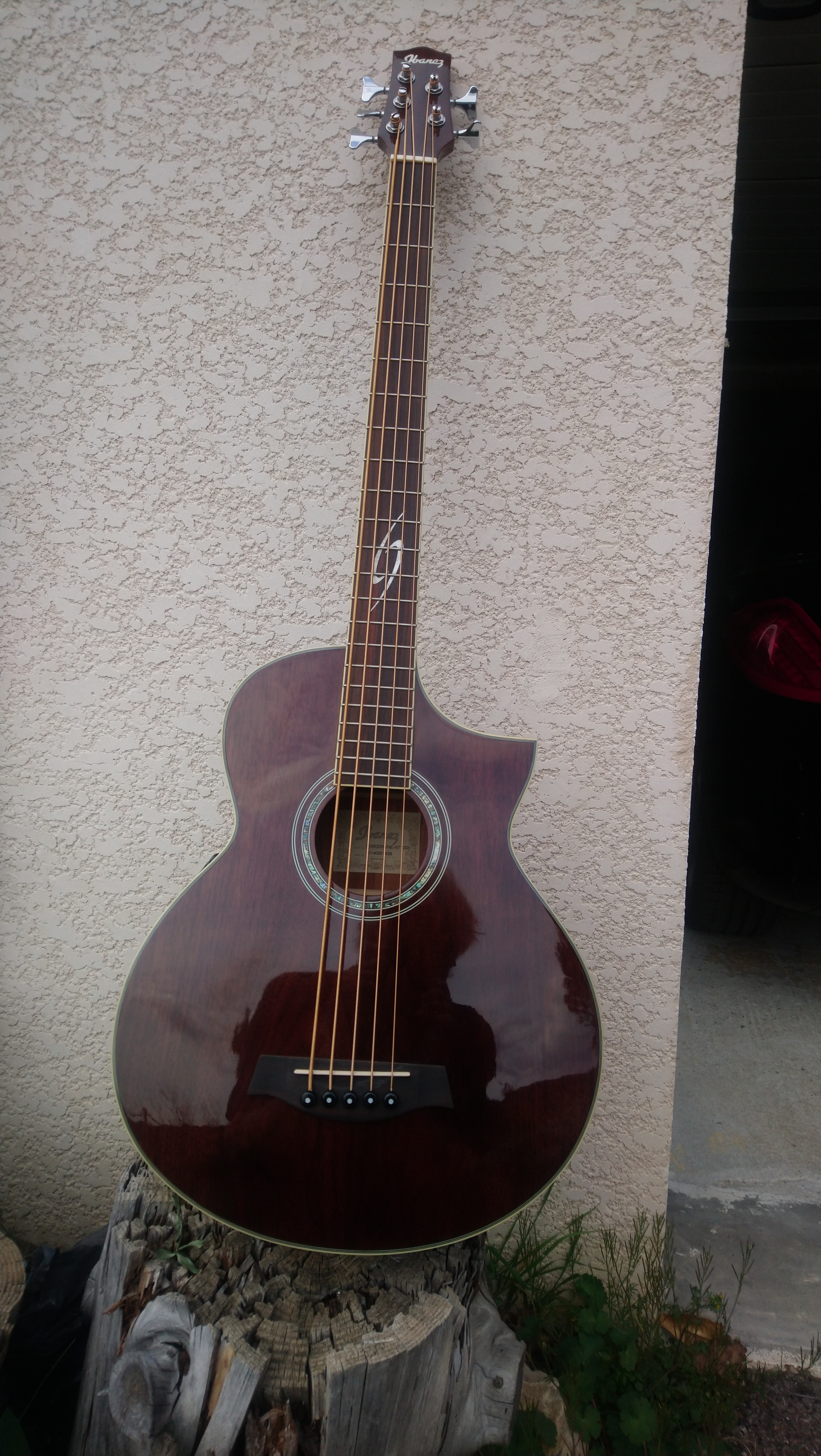 希少】Ibanez EWB205 WNE Acoustic Bass 5st-