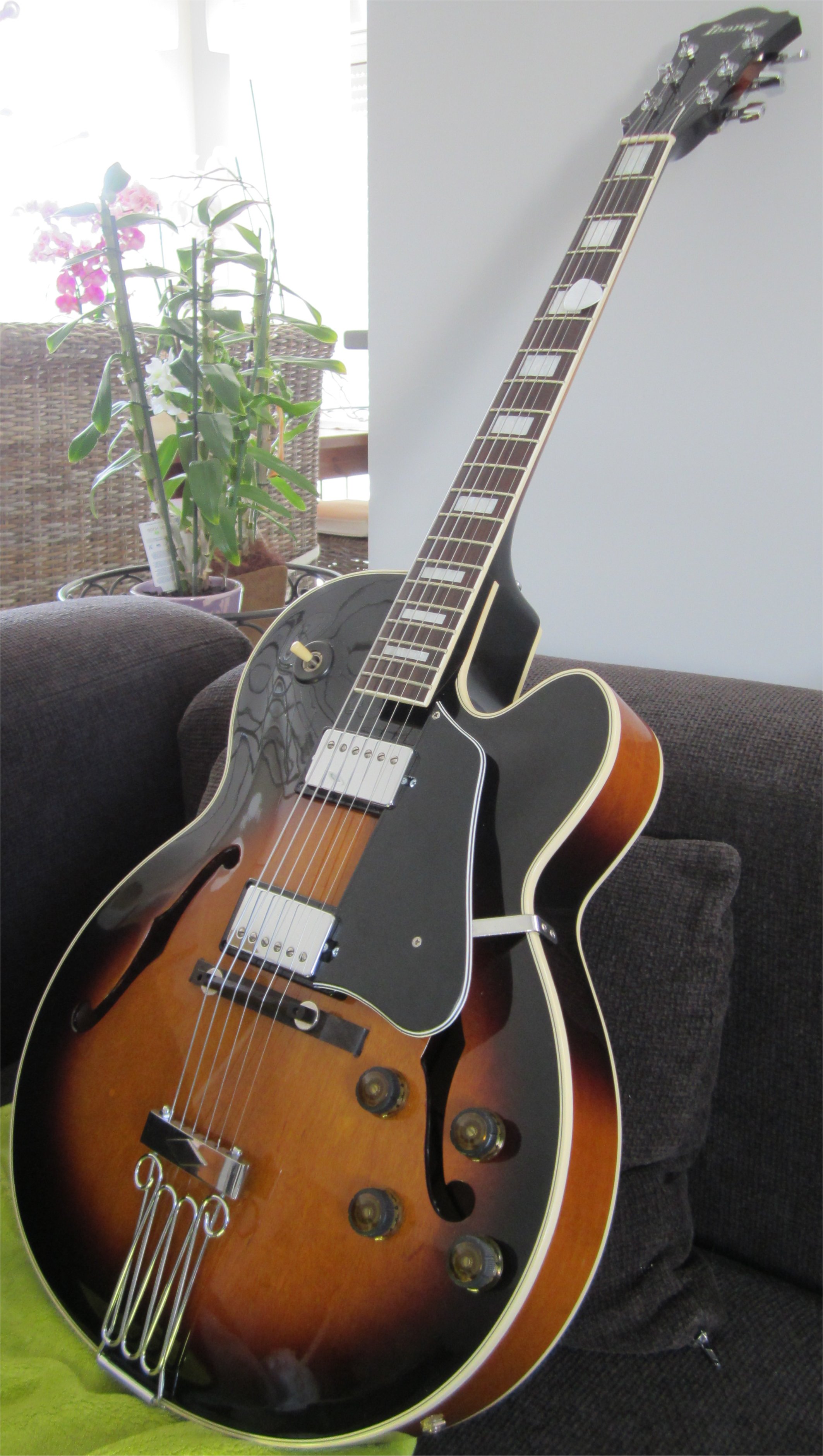 ibanez fg 100 ibanez fg 100