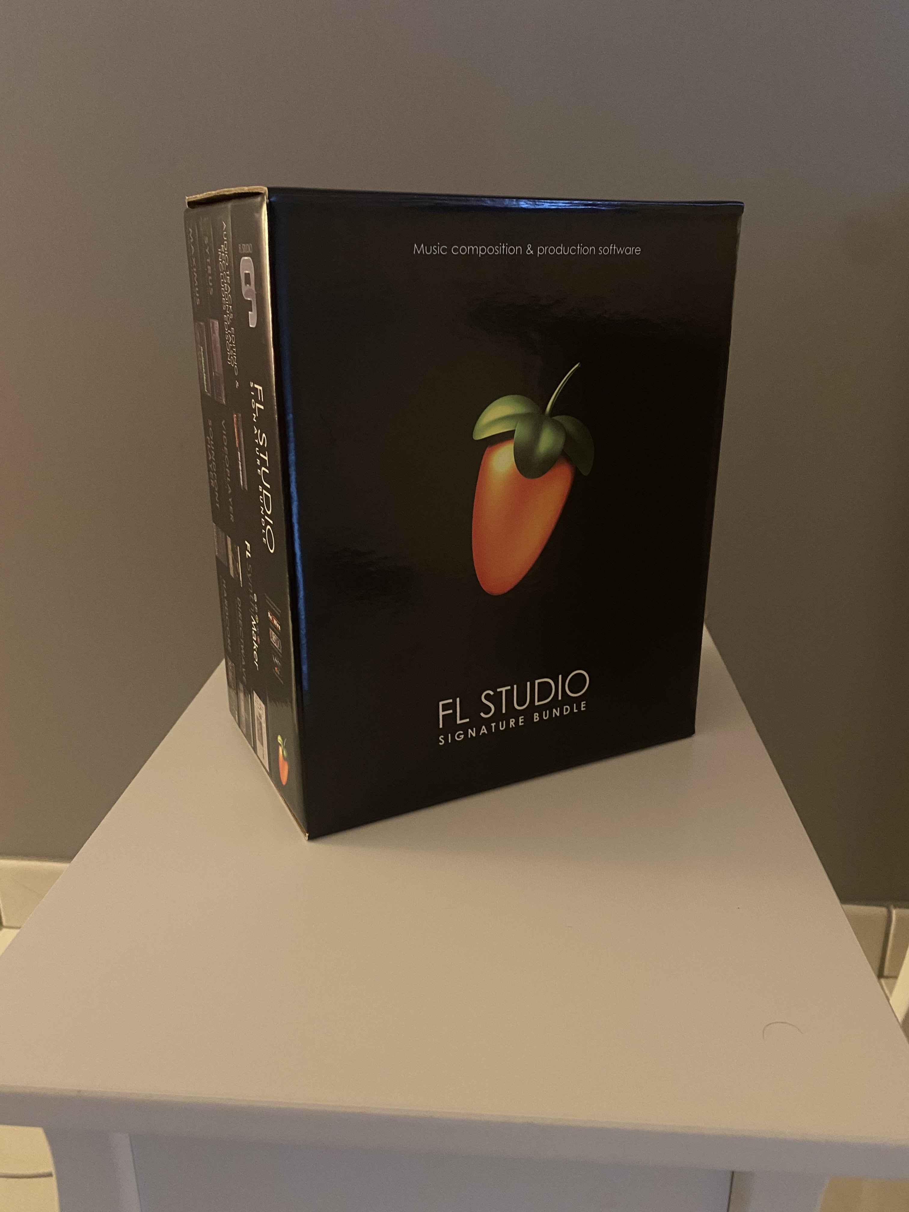 Fruity Loops FL Studio 6 - a detailed review of