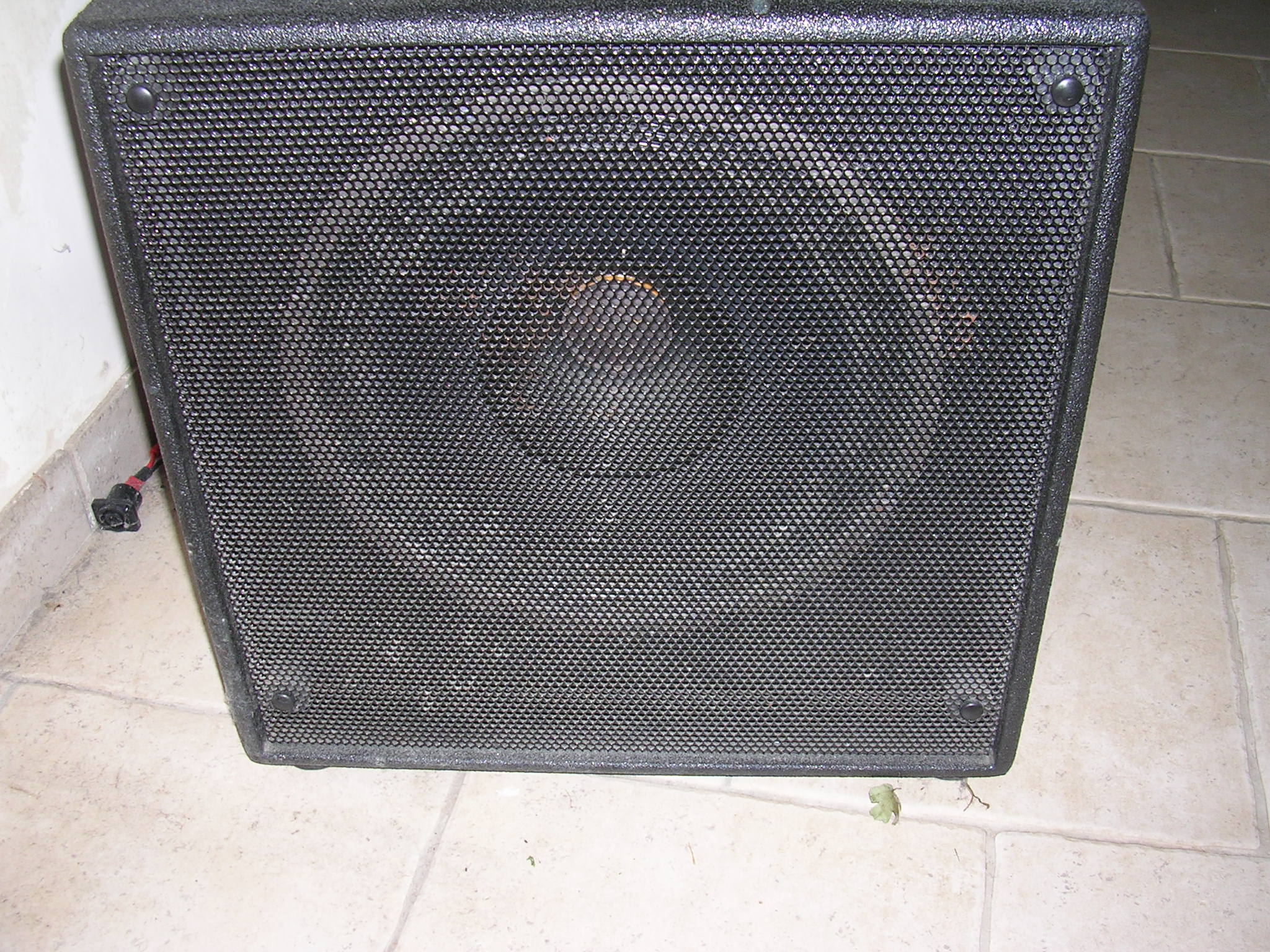 euphonic audio wizzy