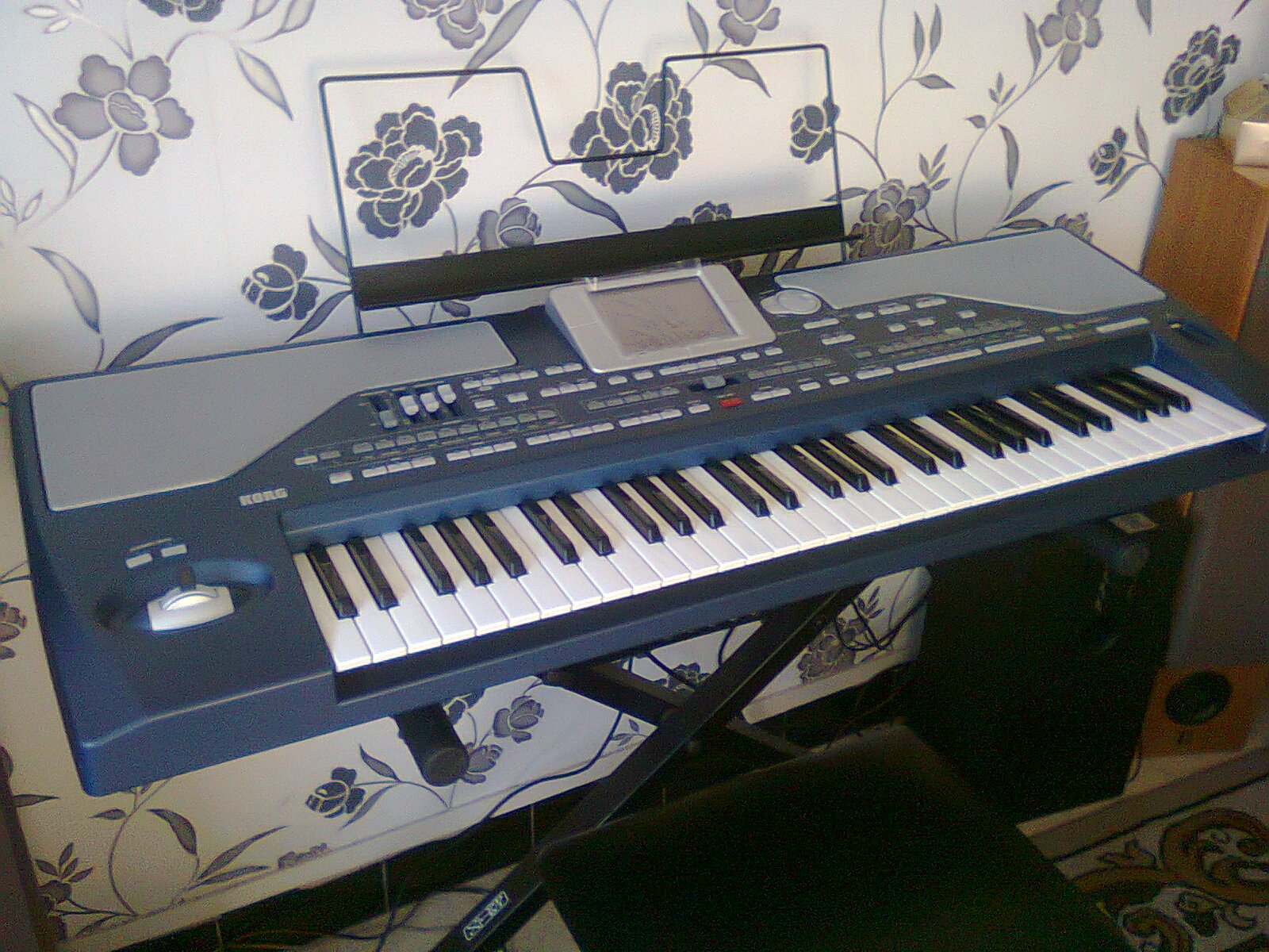  Korg Pa800  Elite Limited Edition image 366217 