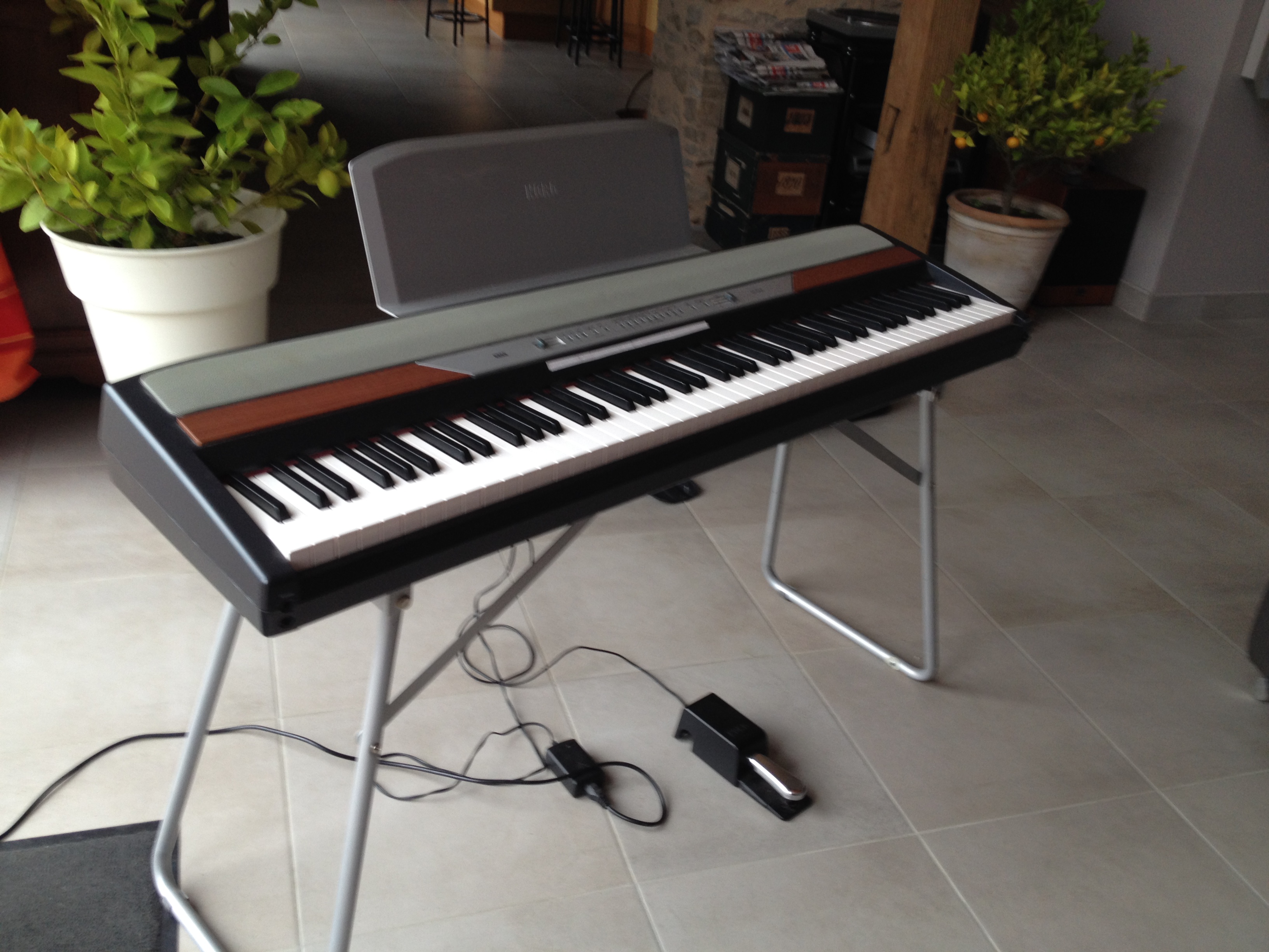 SP250 image (1683295) Audiofanzine