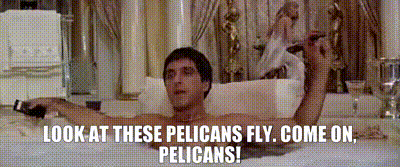 le-pub-des-sports-et-loisirs-6870184.gif